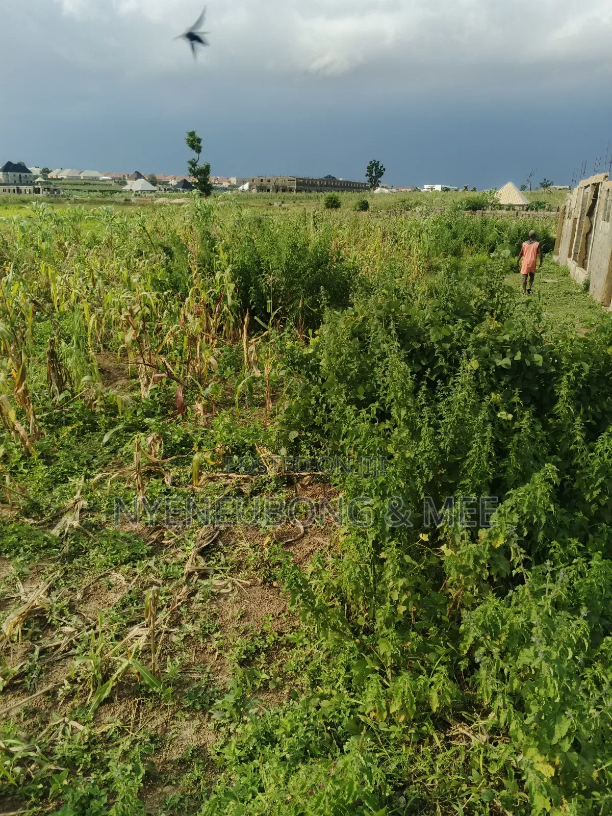 50/100 Land for Sale in Karu