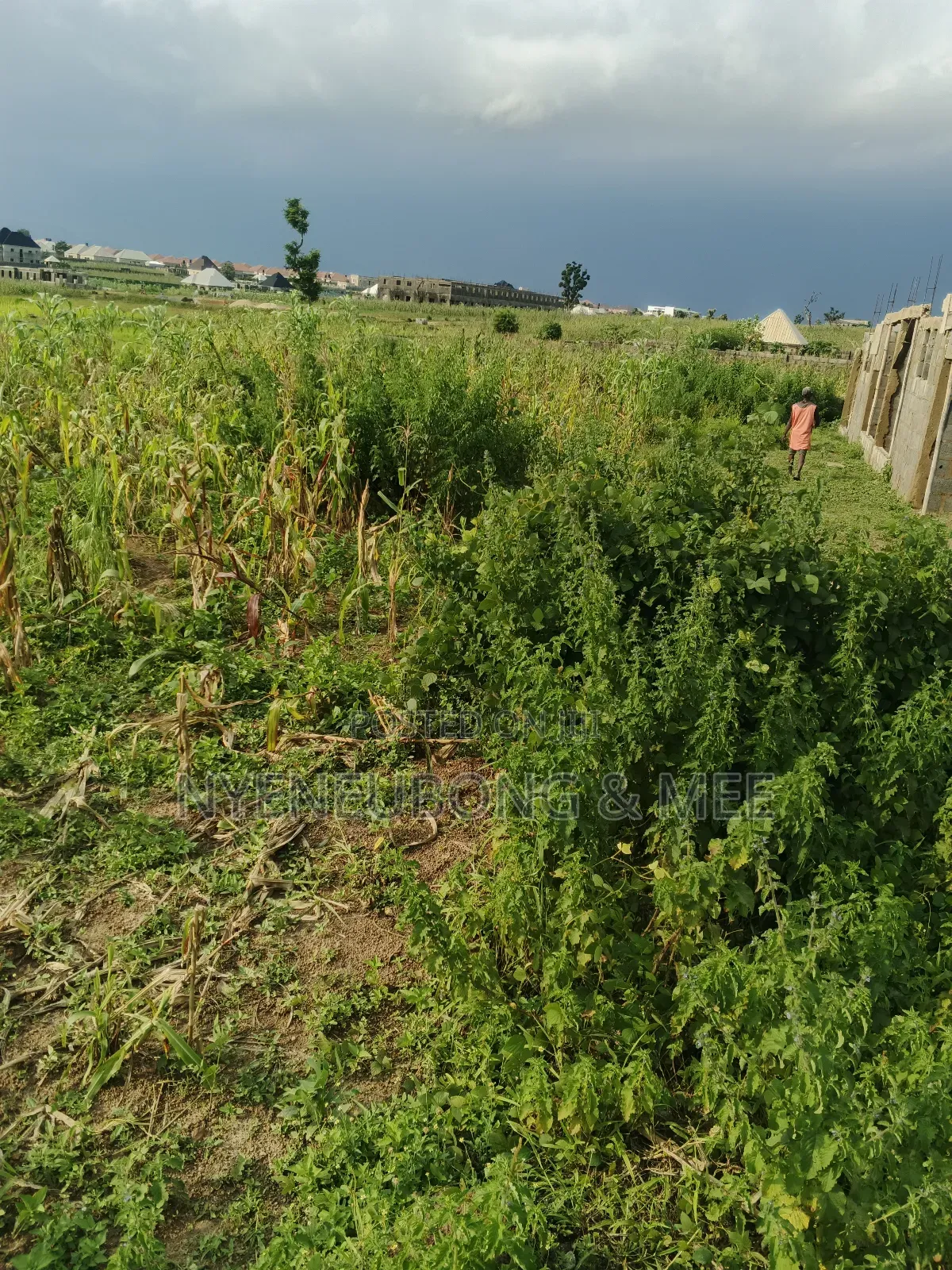 50/100 Land for Sale in Karu