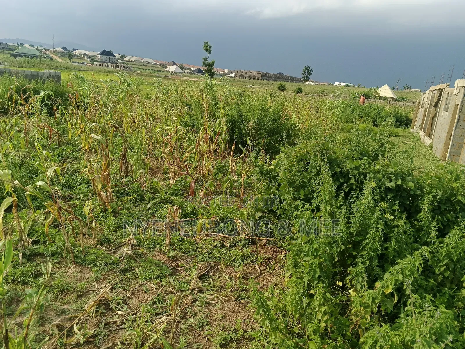 50/100 Land for Sale in Karu