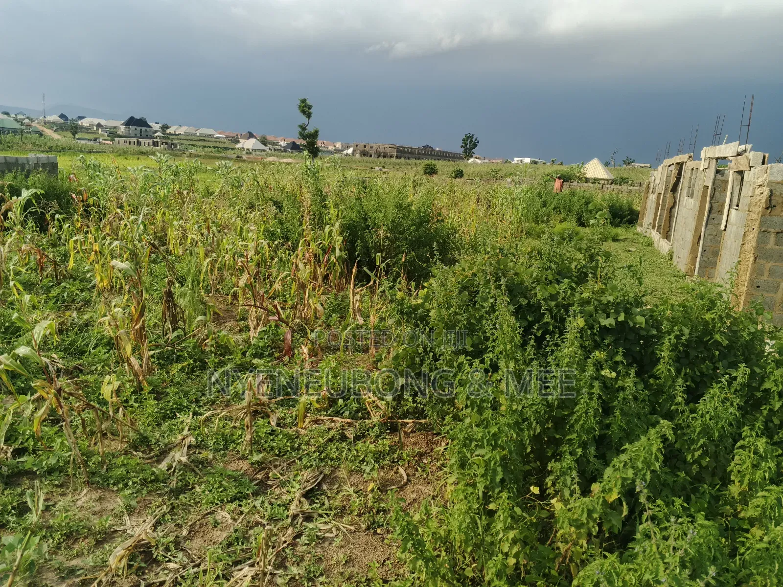 50/100 Land for Sale in Karu