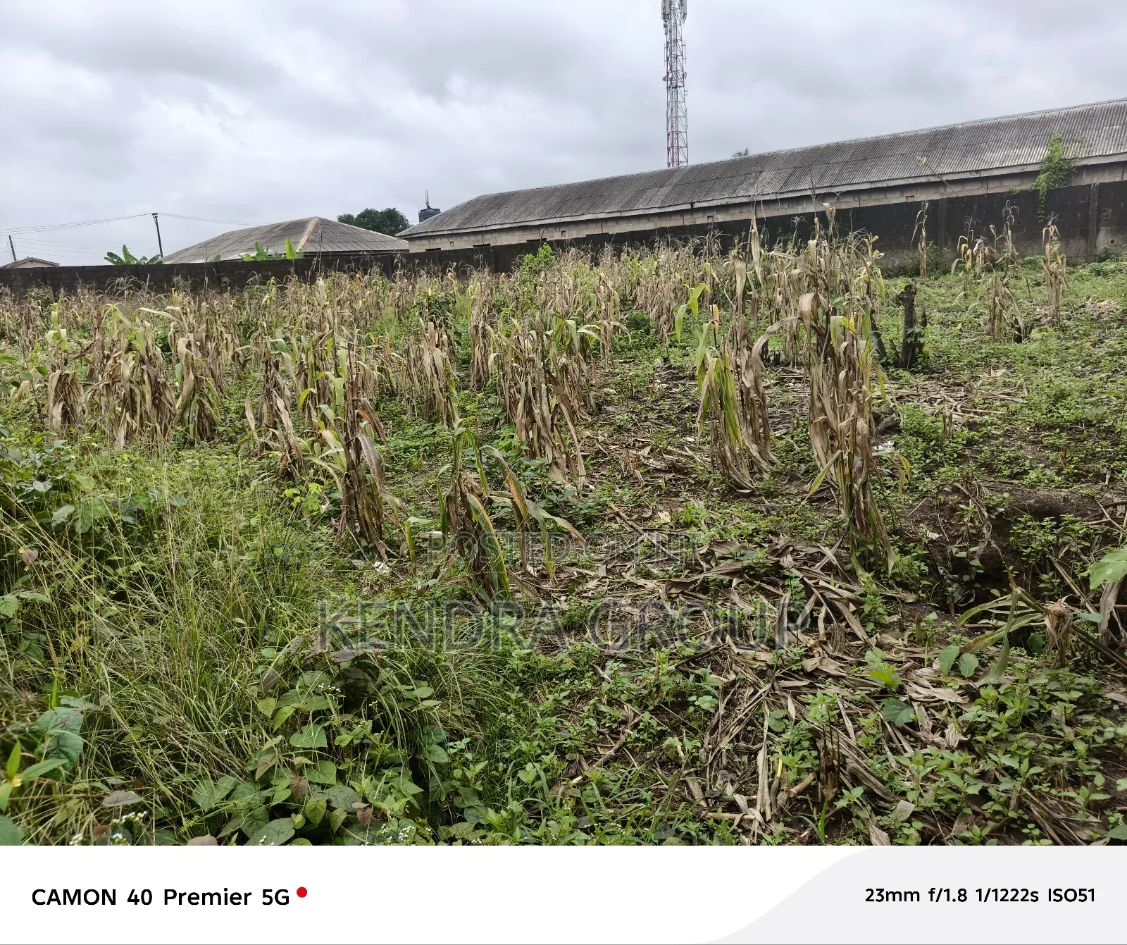 2 Plot Very Close to the Road for Sale at Elepe in Ijede / Ikorodu