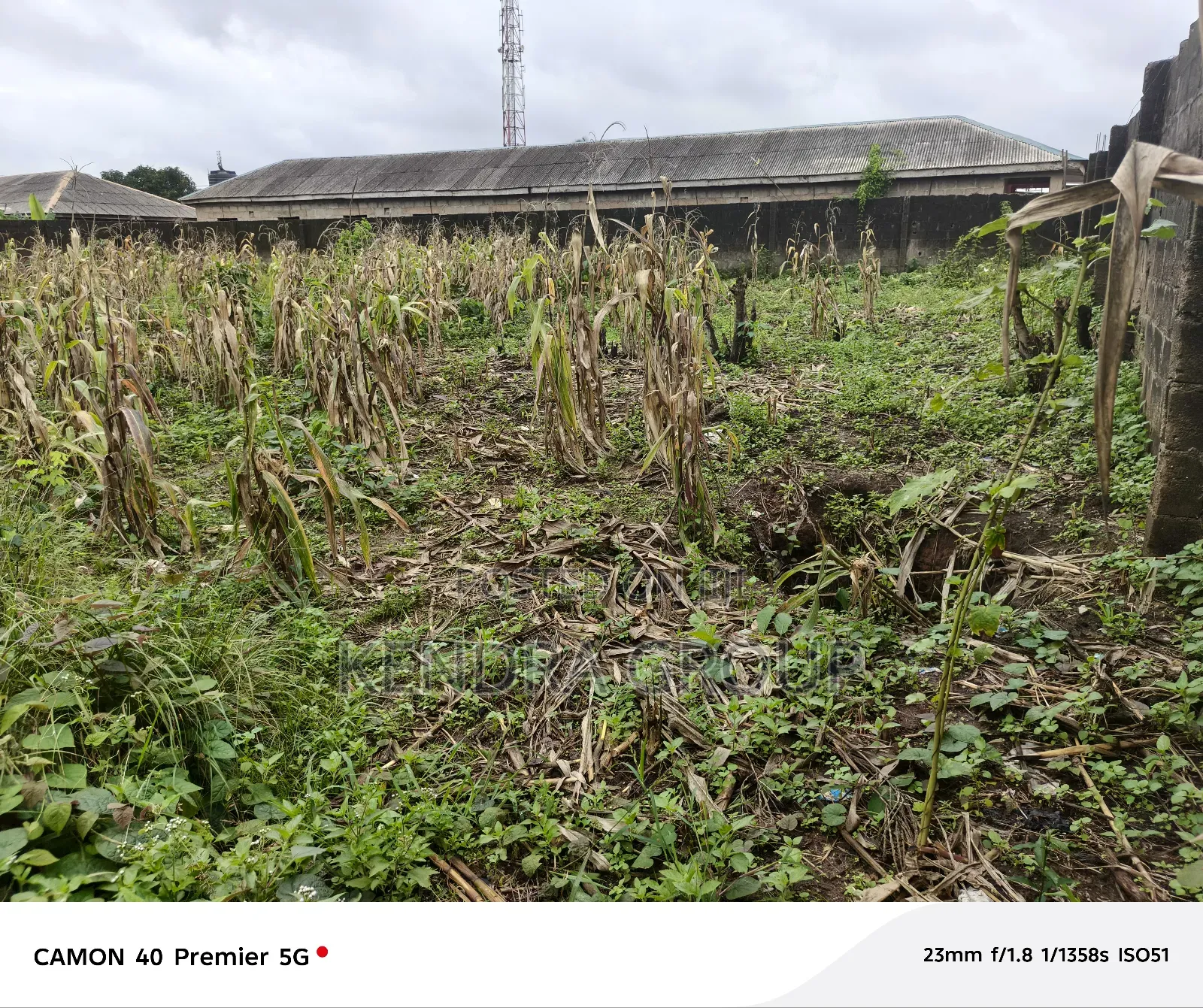 2 Plot Very Close to the Road for Sale at Elepe in Ijede / Ikorodu