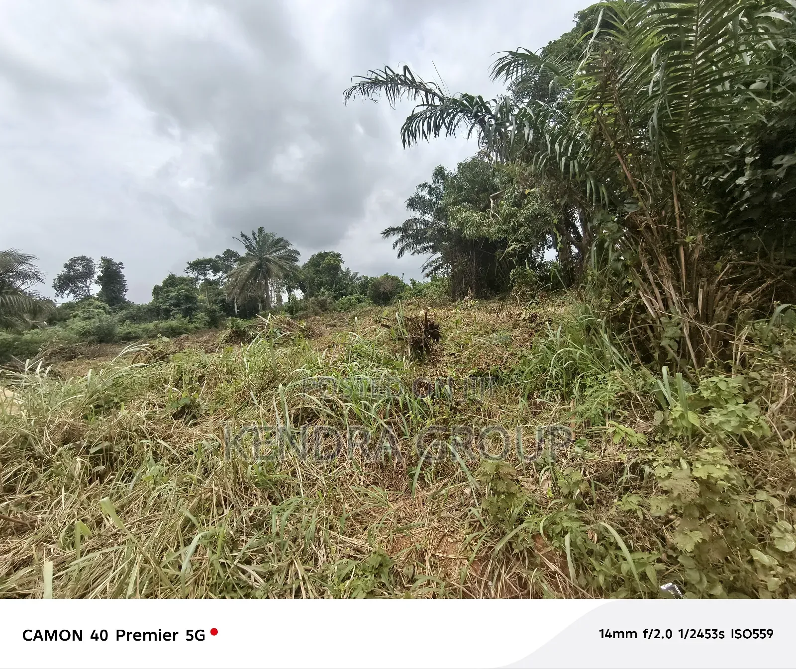 Full Plot for Sale, Off Caleb University, Imota, Ikorodu in Isiu