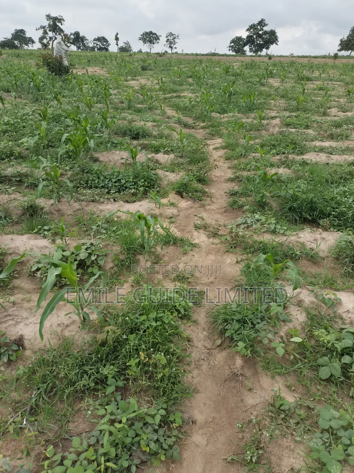 Prime Plots Near Proposed Dunamis University, Karishi Abuja in Karshi