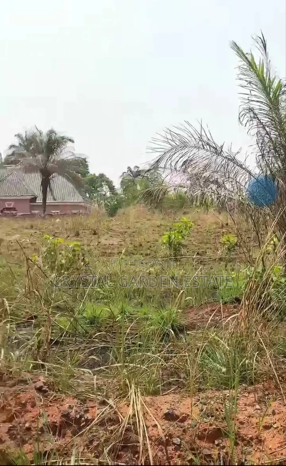 50x100sq,Meter:Land for Sale at Mbutu Okahia. in Owerri