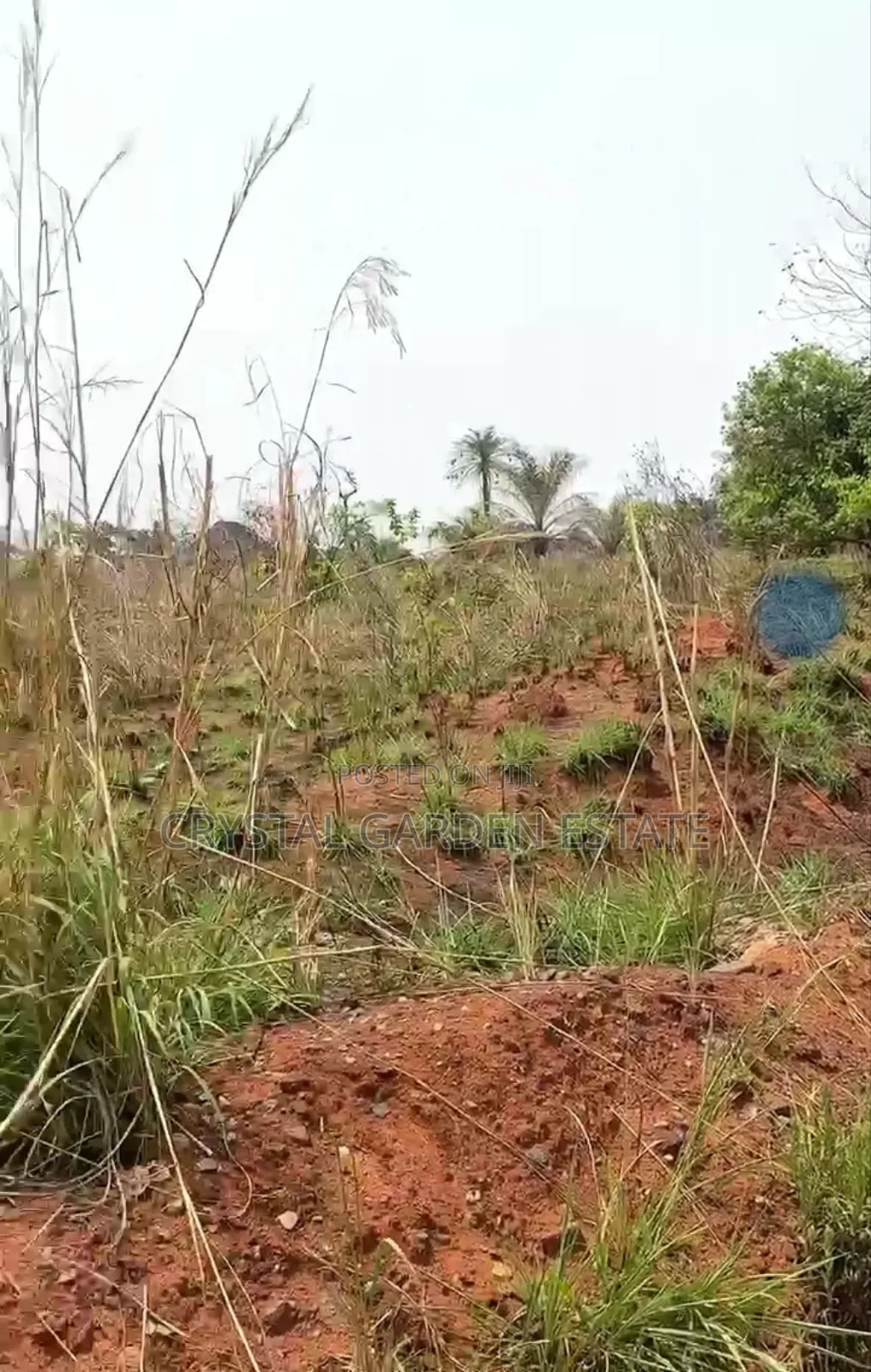 50x100sq,Meter:Land for Sale at Mbutu Okahia. in Owerri