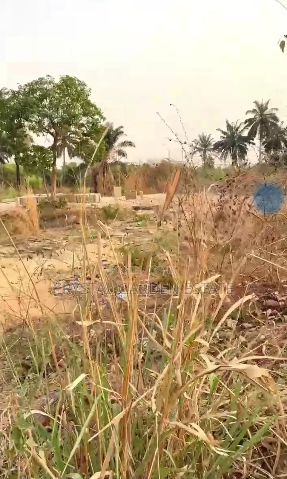 50x100sq,Meter: Land for Sale at Nkwutu in Azuowu Farm. in Owerri