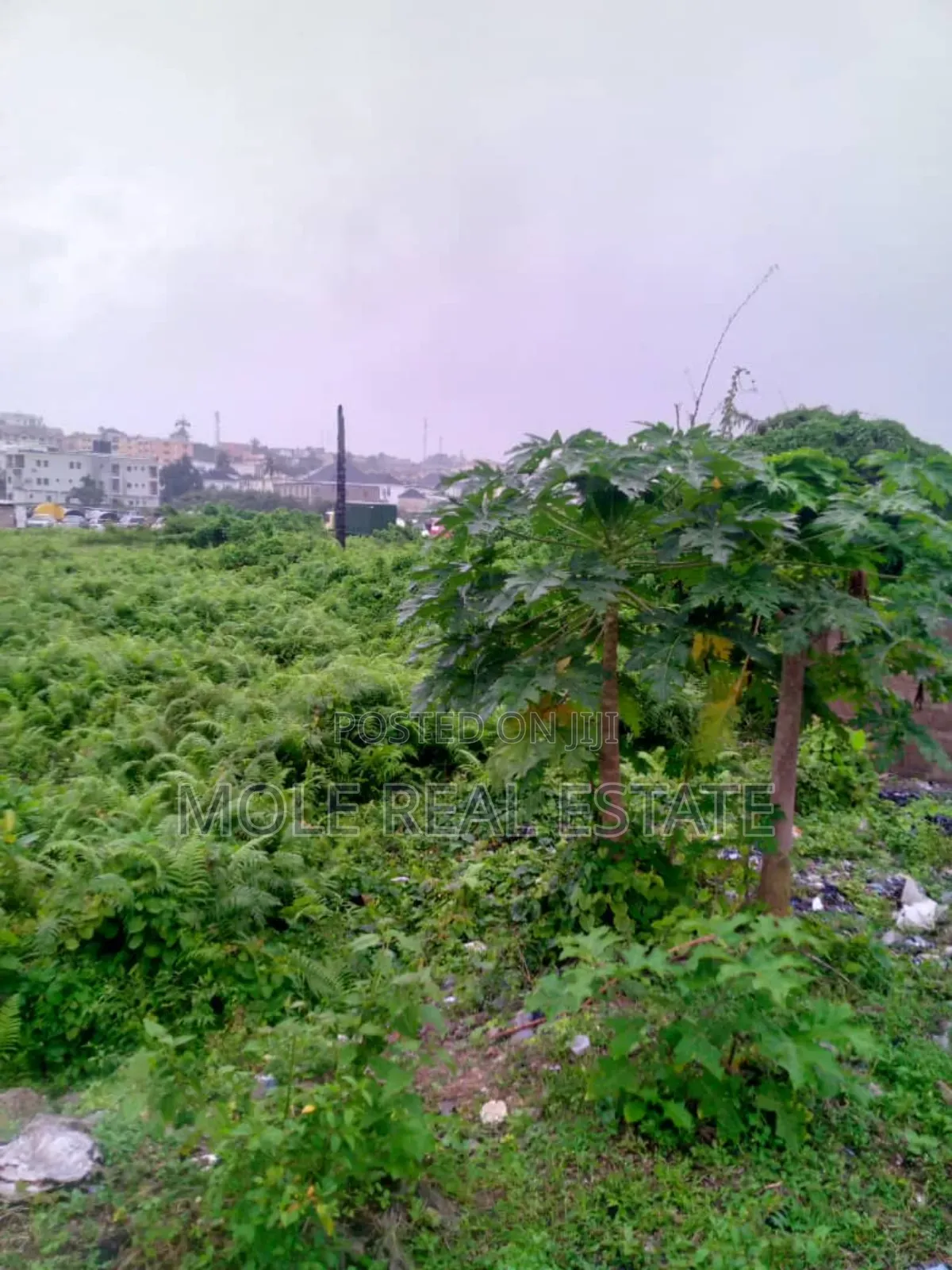10 Plots Facing Lagos Abeokuta Expressway Sango Ota in Ado-Odo/Ota