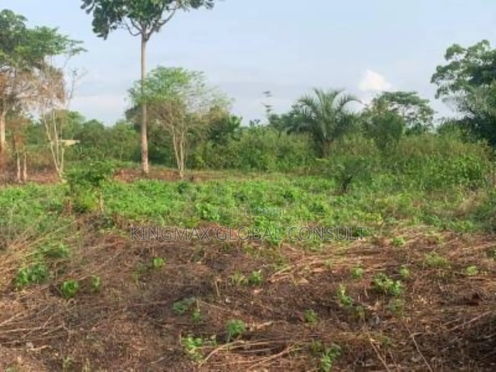 Maitama Main 
Out Right Sale 
2,400sqm
Direct Breaf in Maitama