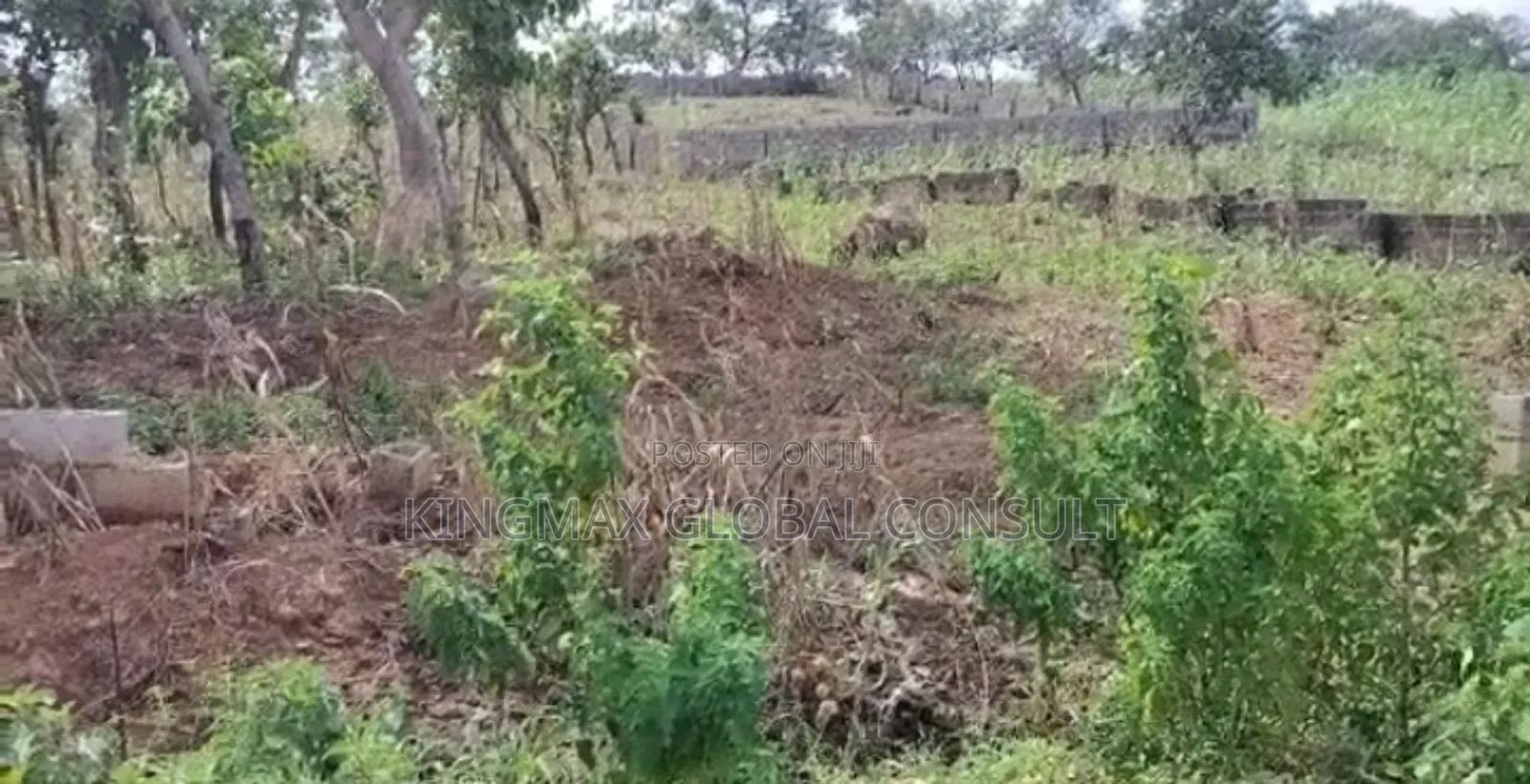 Land for Sale: Plot 98. Size Is 1,111.50m2. Residential. C of O in Dape