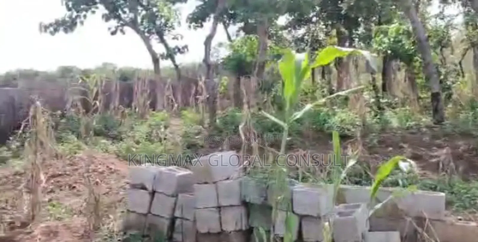 Land for Sale: Plot 98. Size Is 1,111.50m2. Residential. C of O in Dape