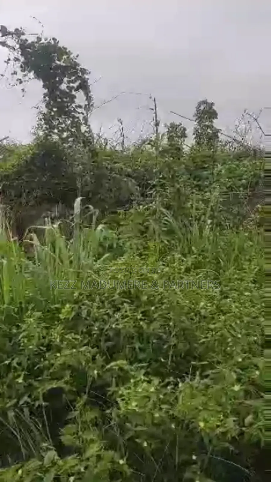For Sale : Cofo 7 Plots at Besides Akachi Est . Wethral Aba Owerri Rd in Port-Harcourt