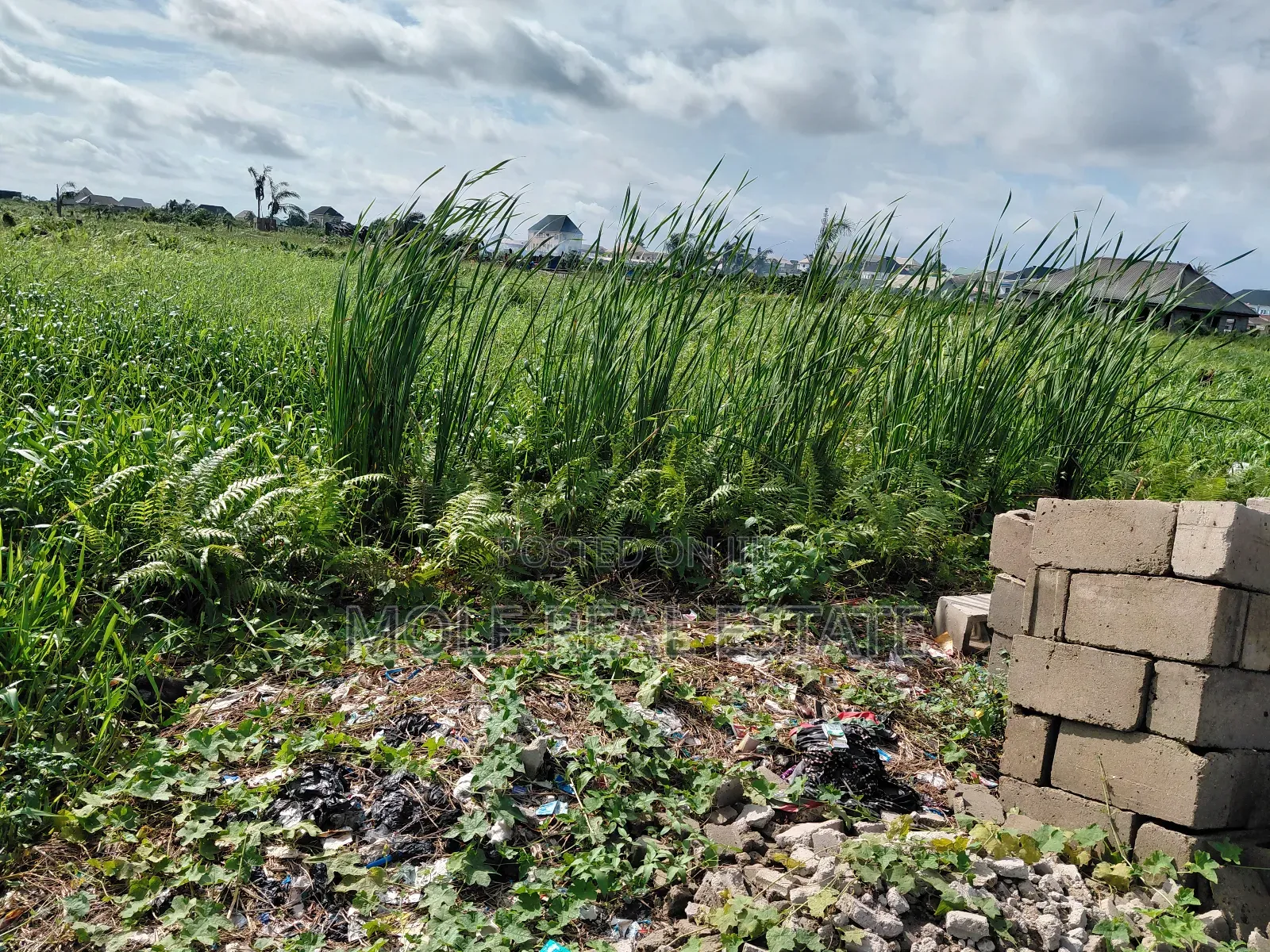 33,56sqm Plots of Land 4 Sale Eco Atlantic Lagos Nigeria in Eko Atlantic
