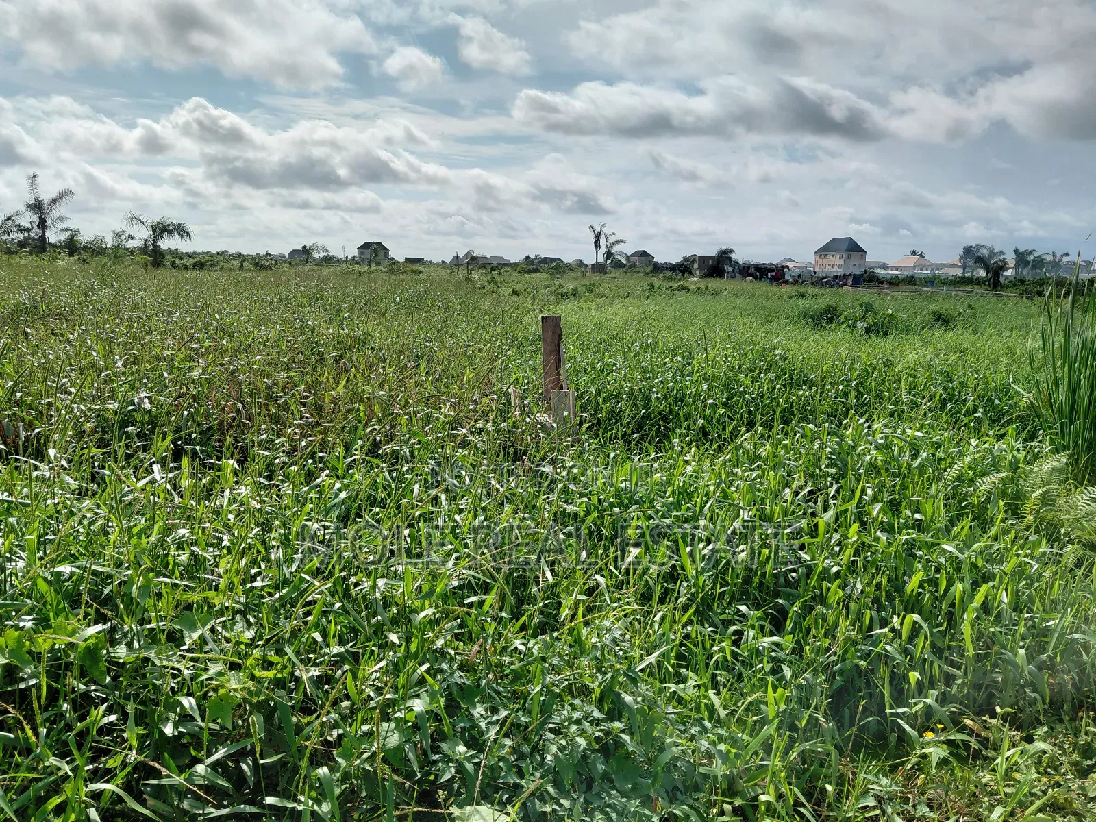 300sqm (Half Plot ) Vacant Barriga Facing Road in Alausa