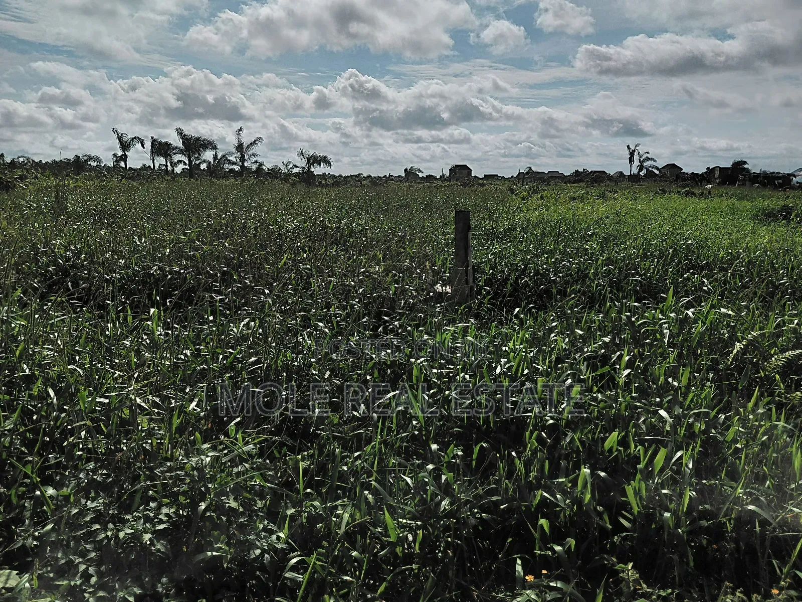 Two and Half Plots Facing Ikotun Igu Road Near Bokun Stores Alimosho in Ikotun/Igando