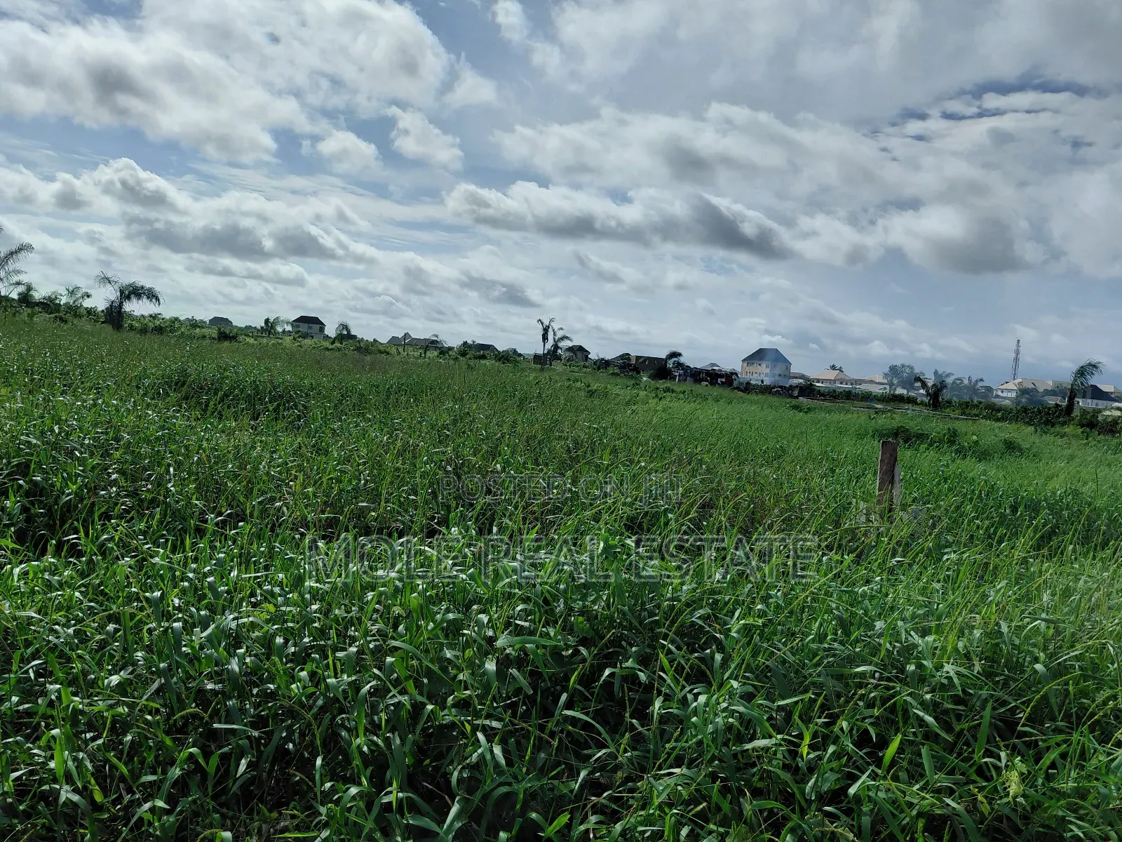 Two and Half Plots Facing Ikotun Igu Road Near Bokun Stores Alimosho in Ikotun/Igando