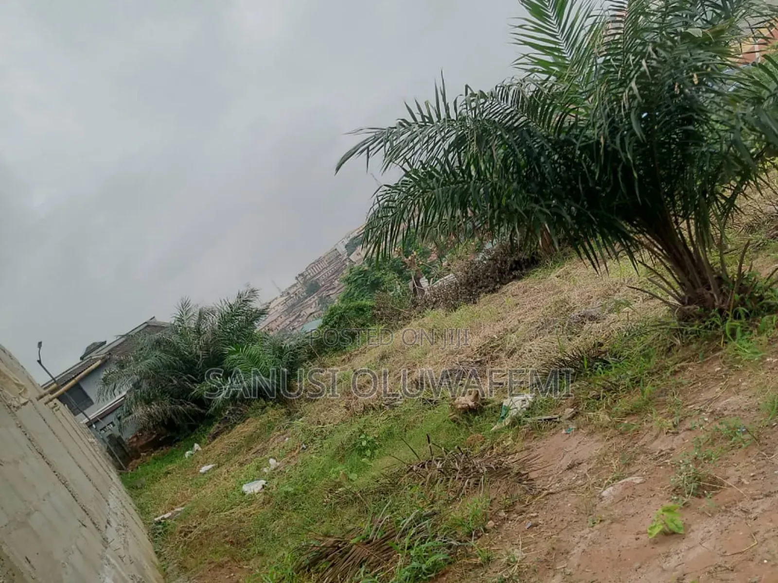 Land for Sale in Anthony in Millenuim/UPS