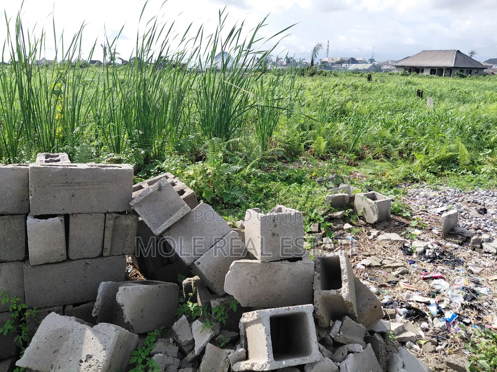 Two Plots Facing Lasu Iguand Road Olowonla Bustop in Ikotun/Igando