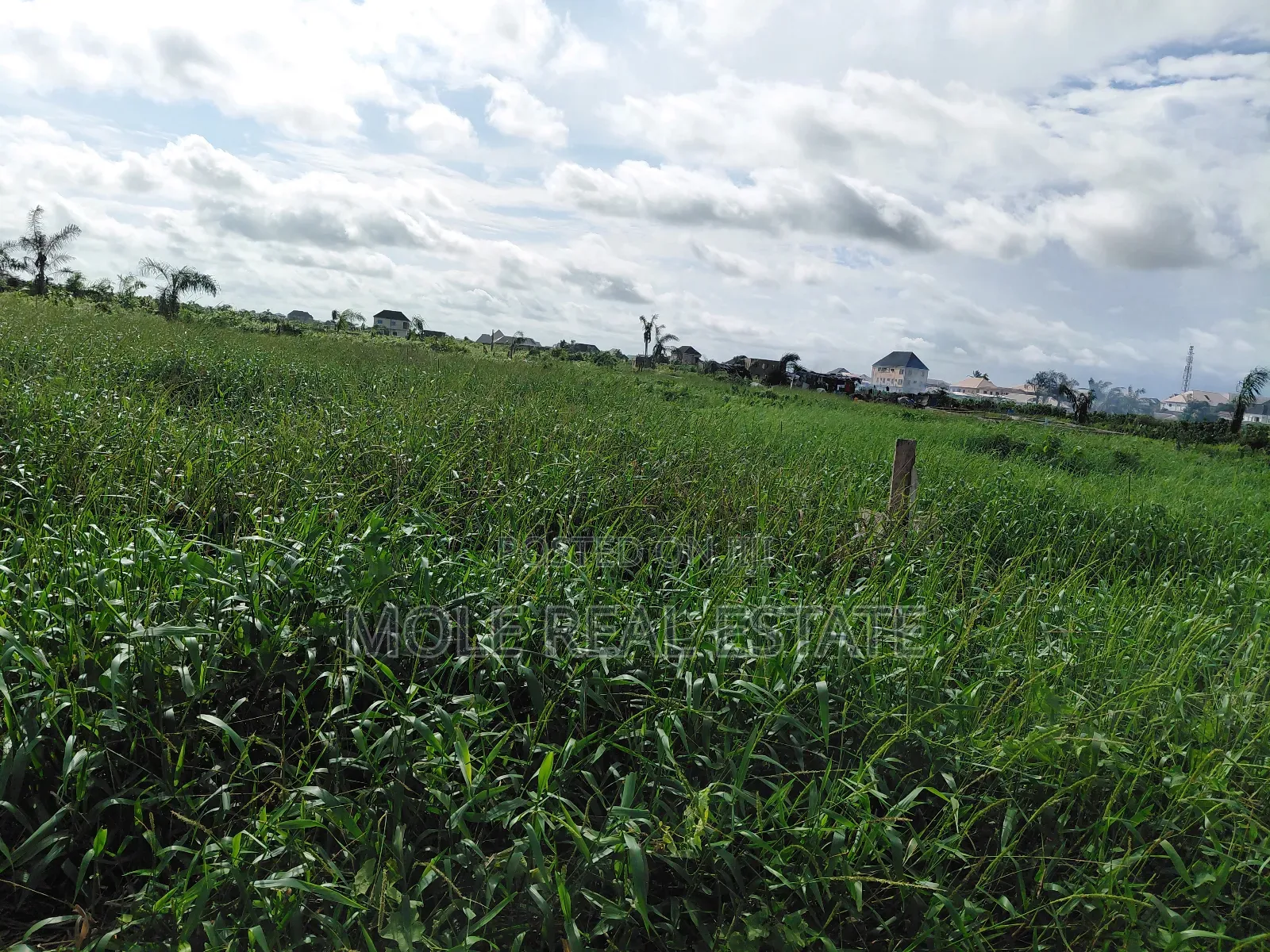 21 Acers of Virgin Land Obadore Bustop Lasu Iguando Rd in Ikotun/Igando