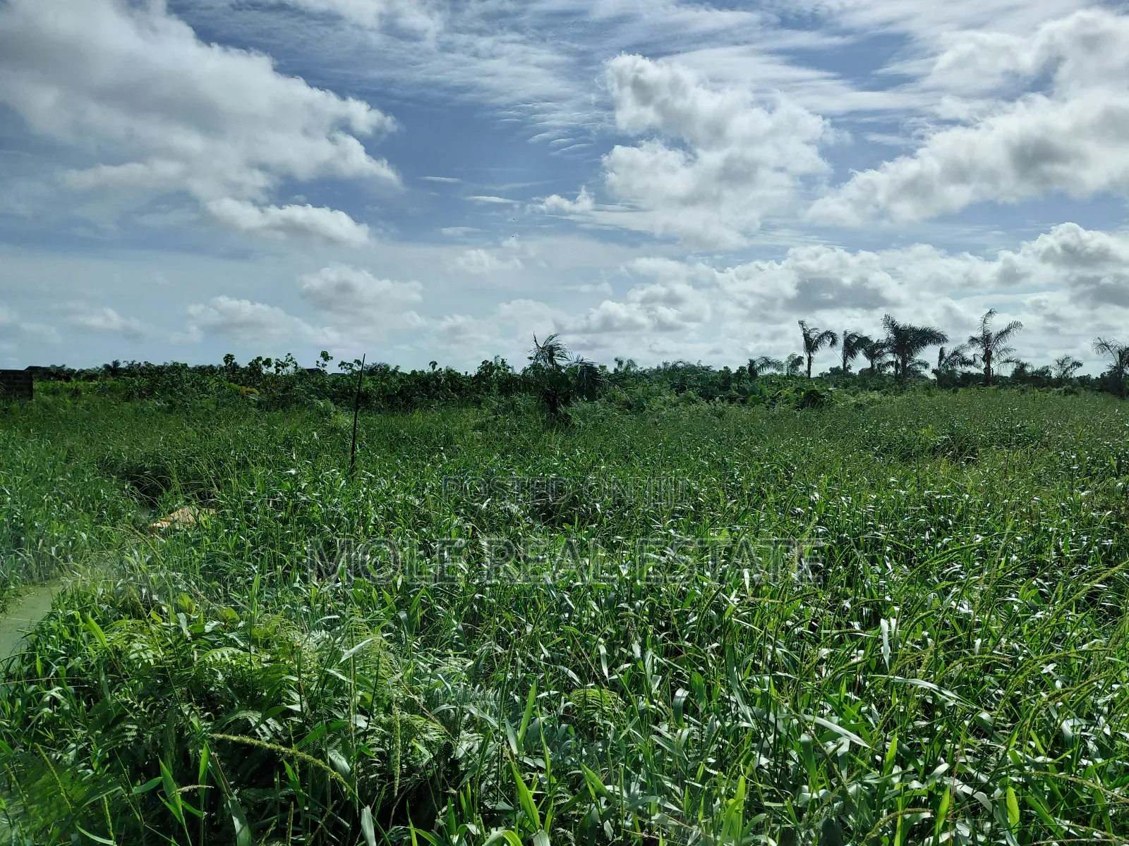 Full Plot Facing Ishefun Rd Ayobo Fenced Gated in Ayobo