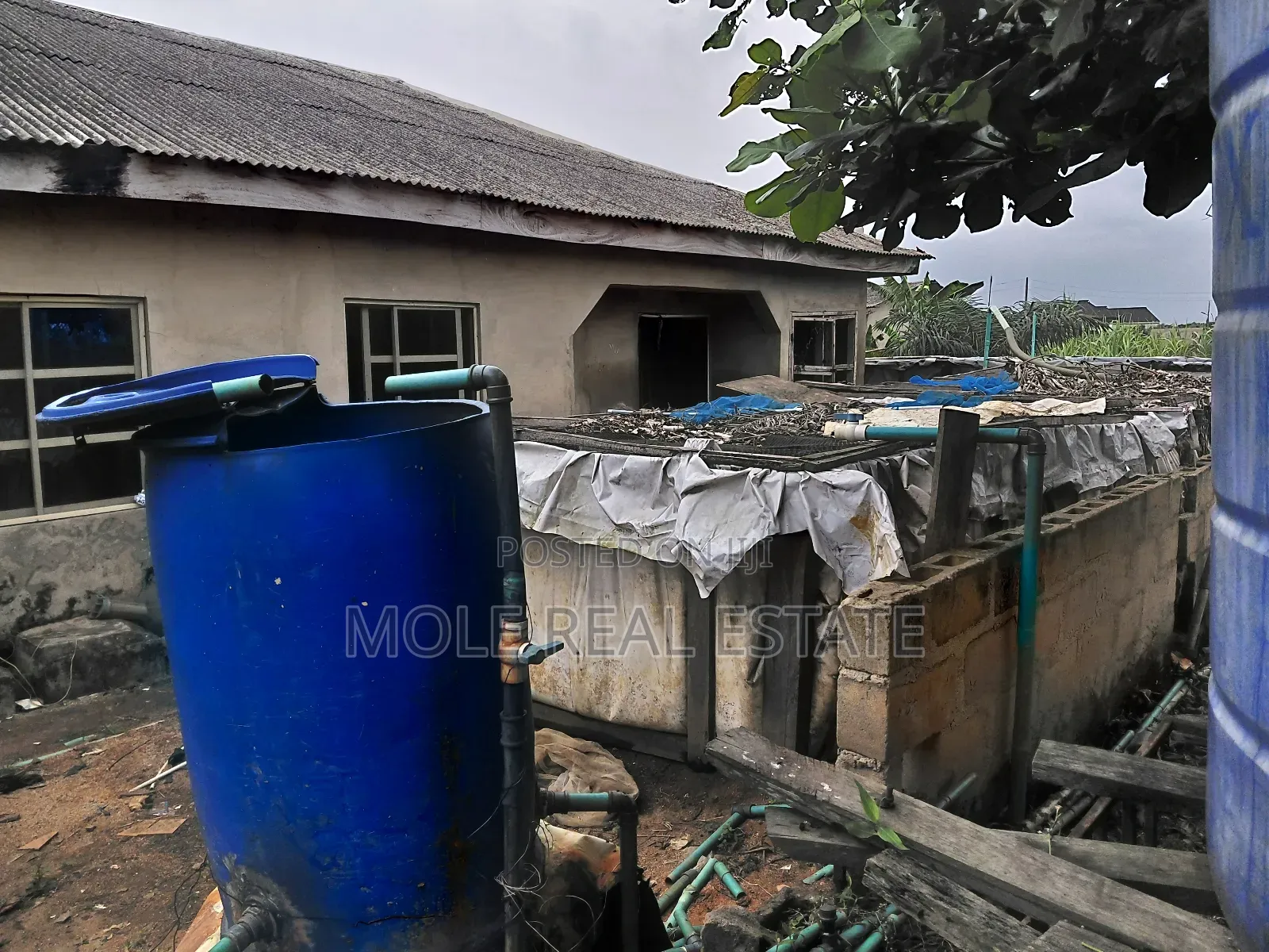 Half Plot Ishefun Ayobo Close to the Road in Ikotun / Ikotun/Igando