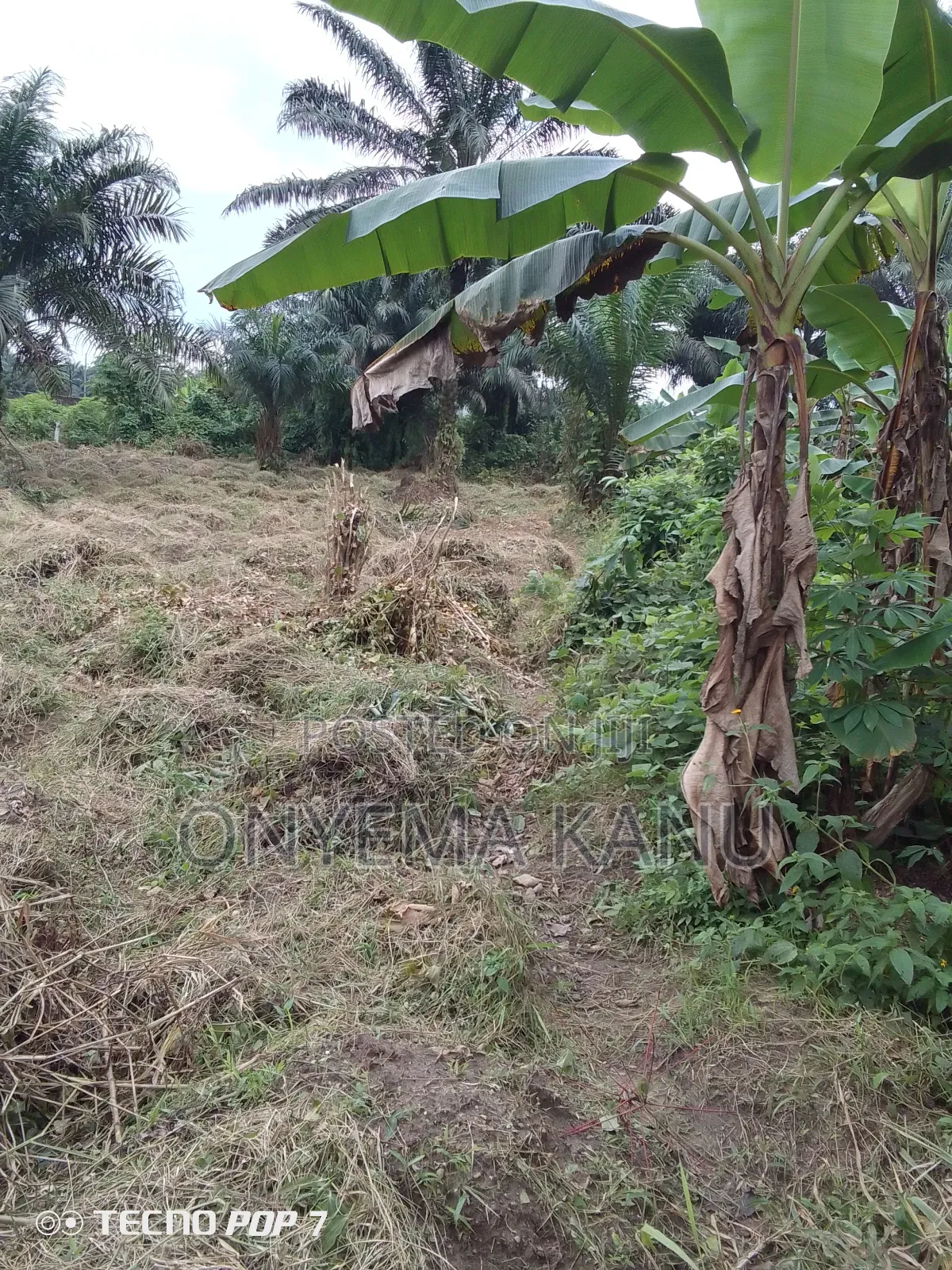 2 Plots at Imo River Town. in Ukwa