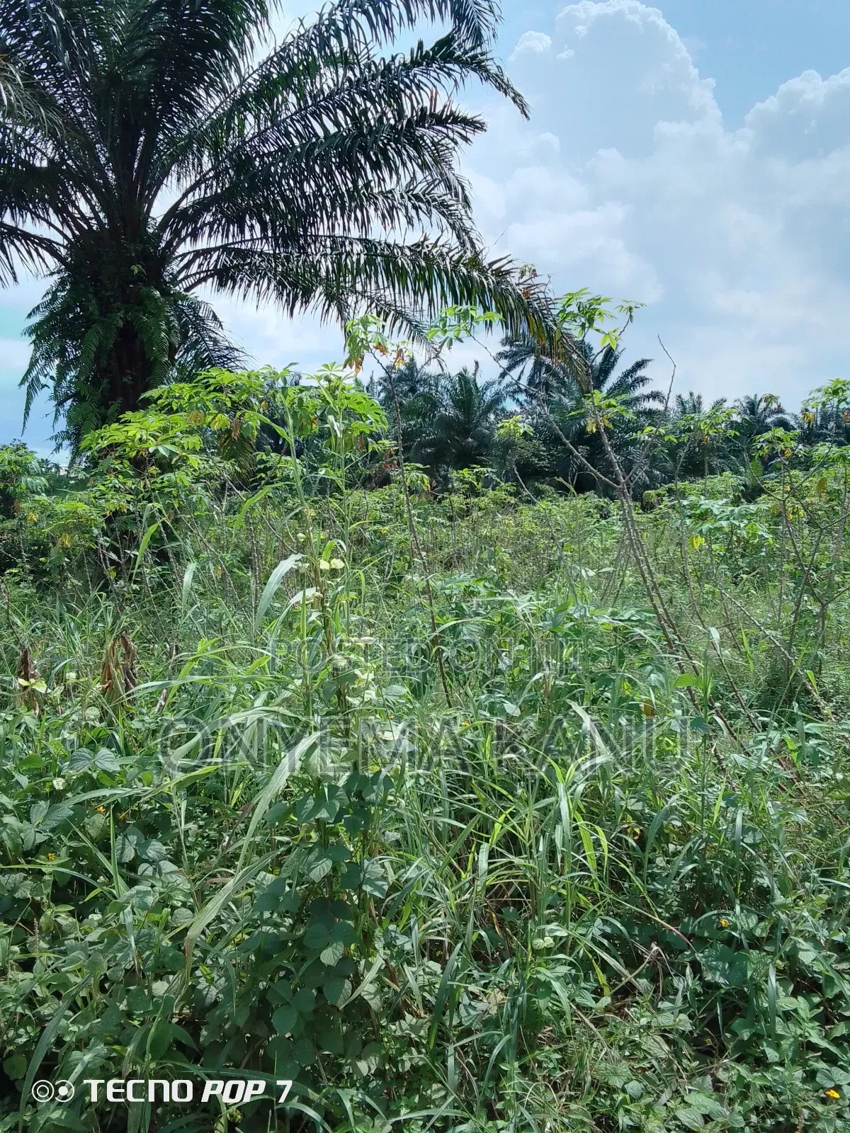 2 Plots at Imo River Town. in Ukwa