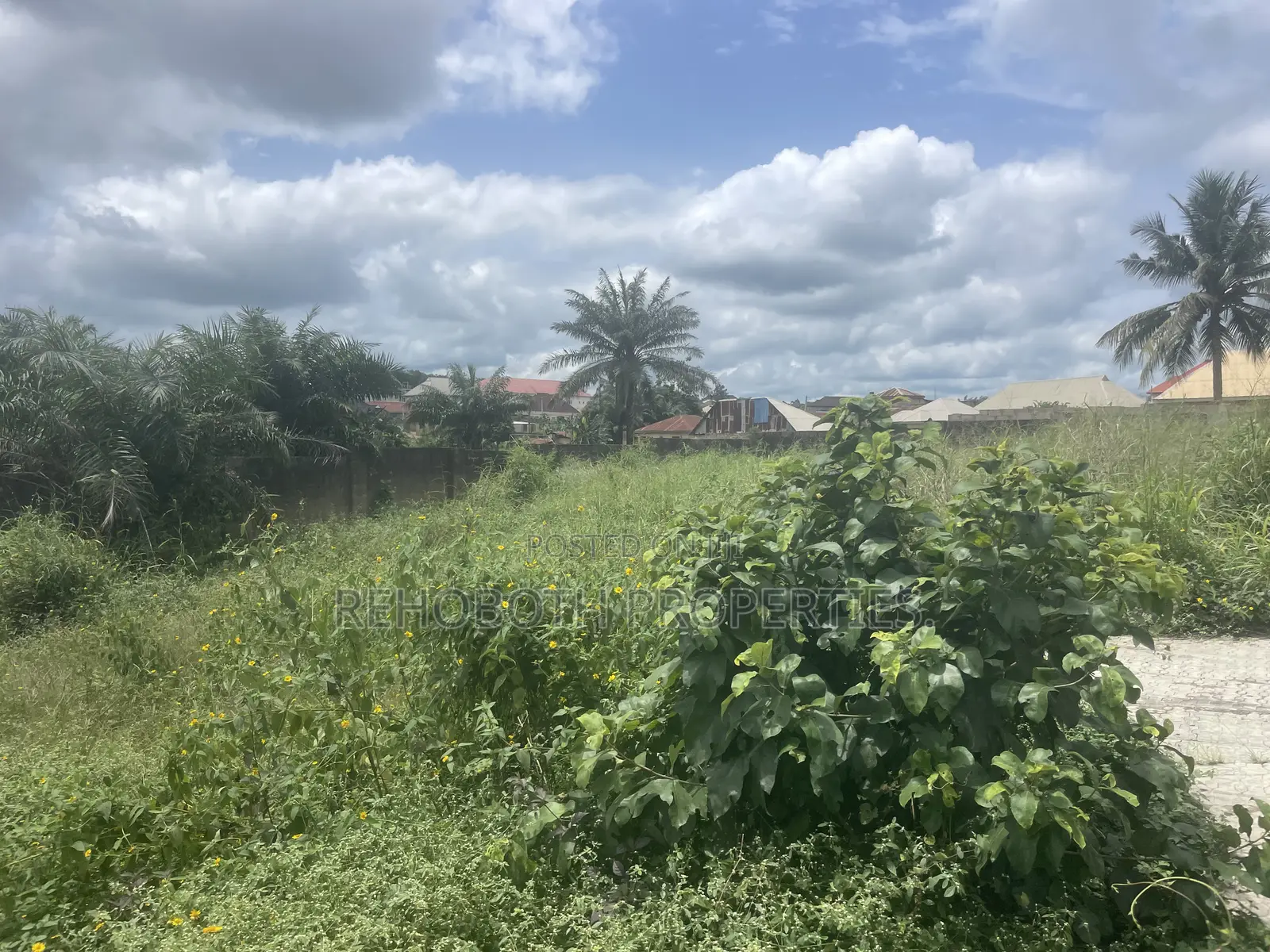 Fenced and Gated Standard Plot of Land at a Mini Estate at Jankanka in Akala Express