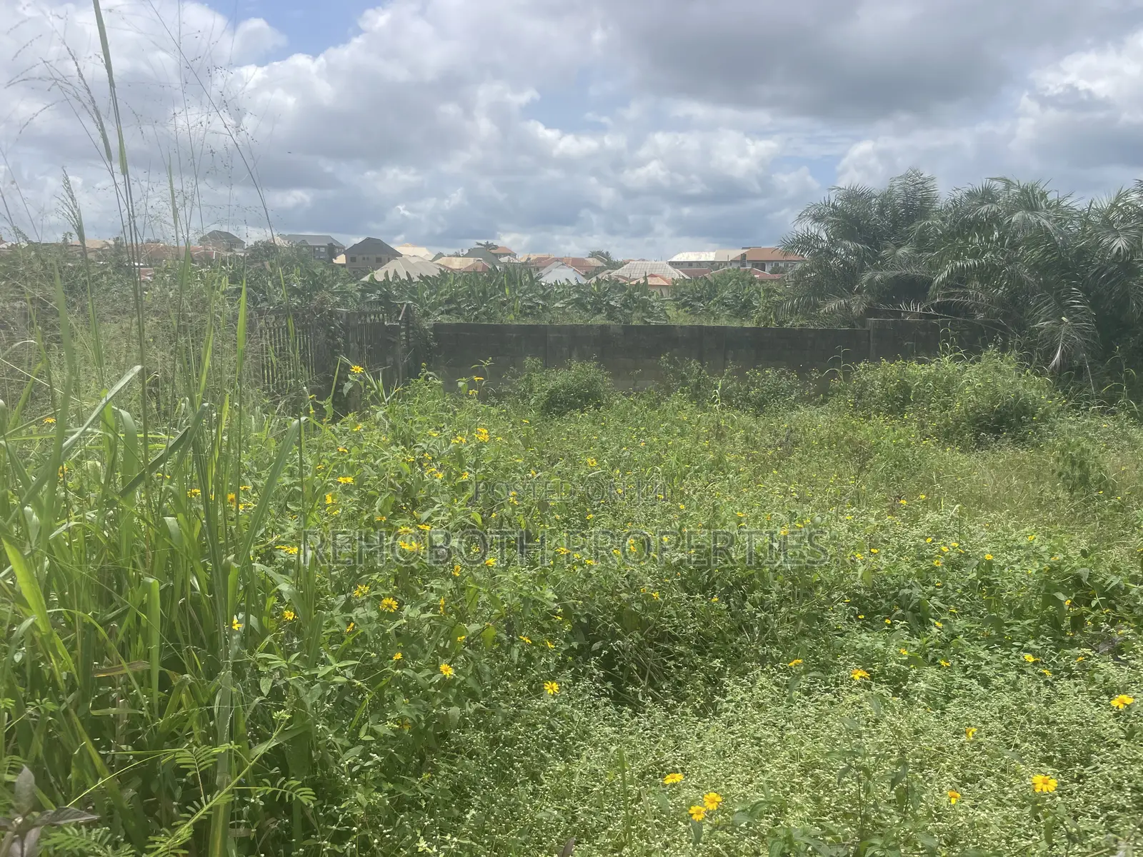 Fenced and Gated Standard Plot of Land at a Mini Estate at Jankanka in Akala Express
