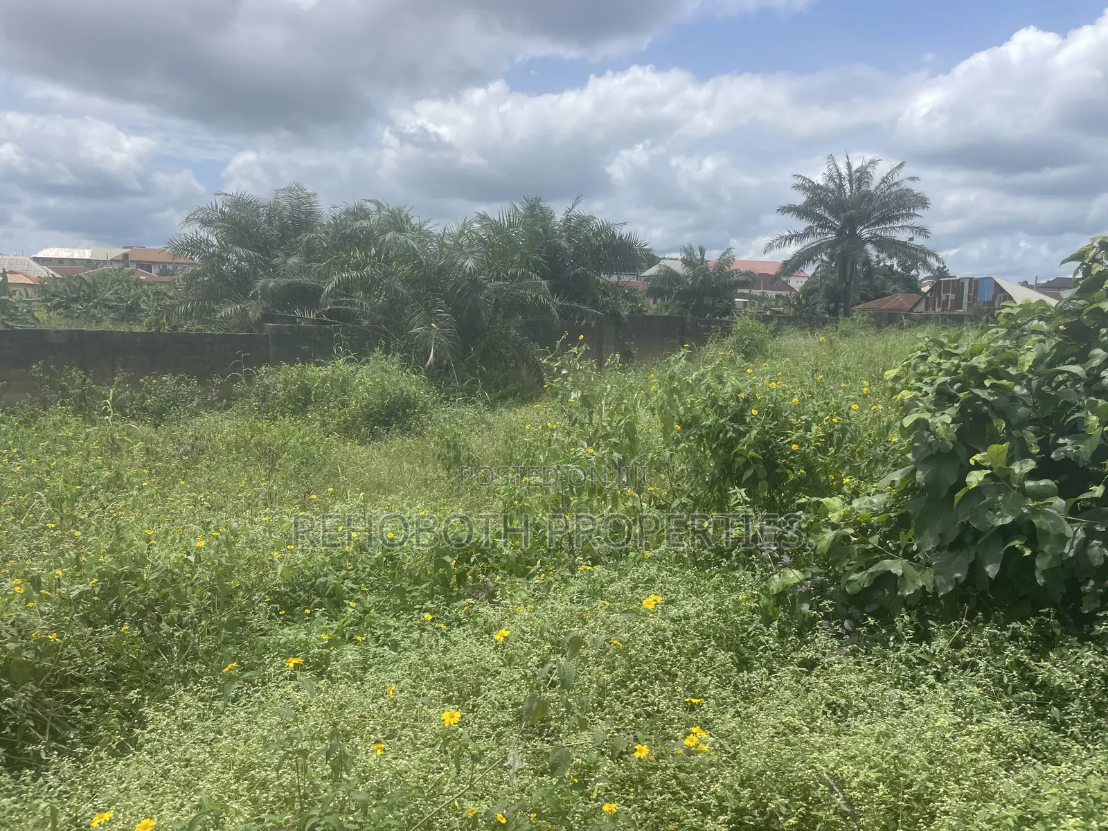Fenced and Gated Standard Plot of Land at a Mini Estate at Jankanka in Akala Express