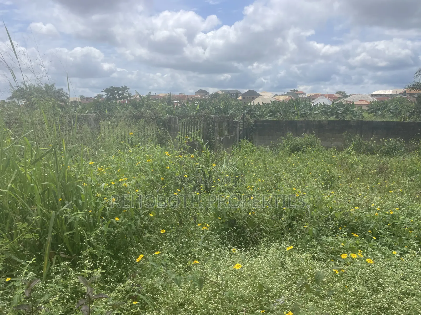 Fenced and Gated Standard Plot of Land at a Mini Estate at Jankanka in Akala Express