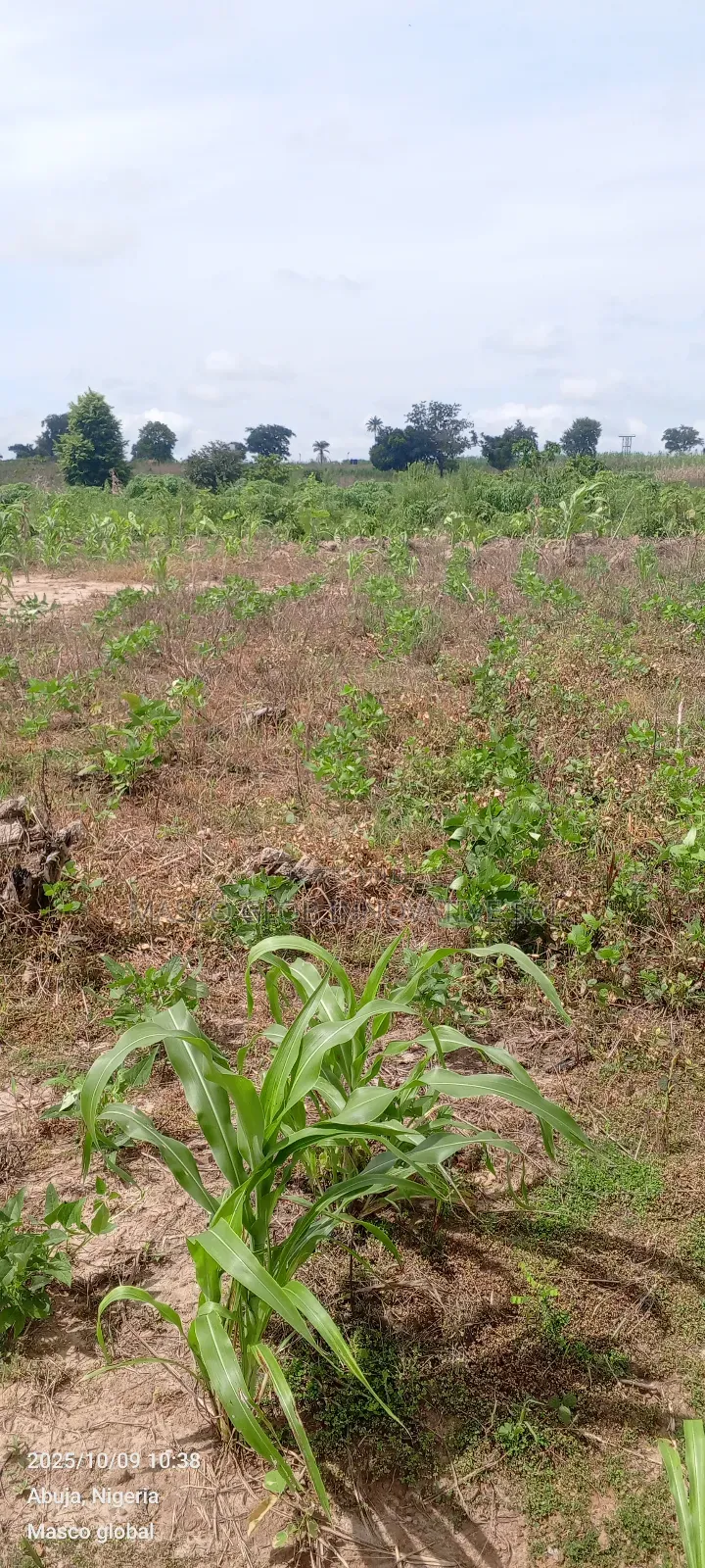 2.5. Hectares Farmland for Sale in Kuje Abuja in Kuje