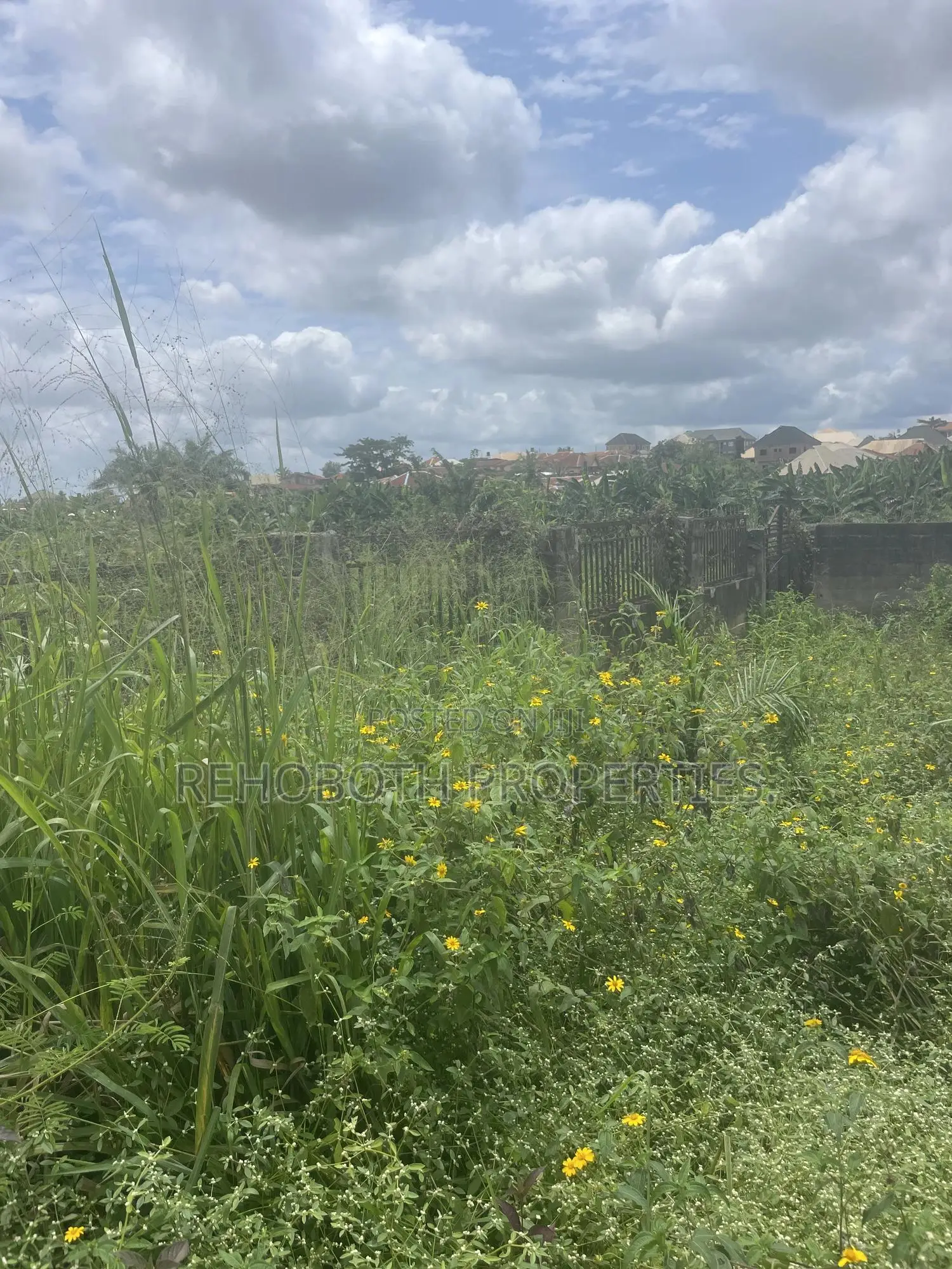 Fenced and Gated Standard Plot of Land at a Mini Estate at Jankanka in Akala Express