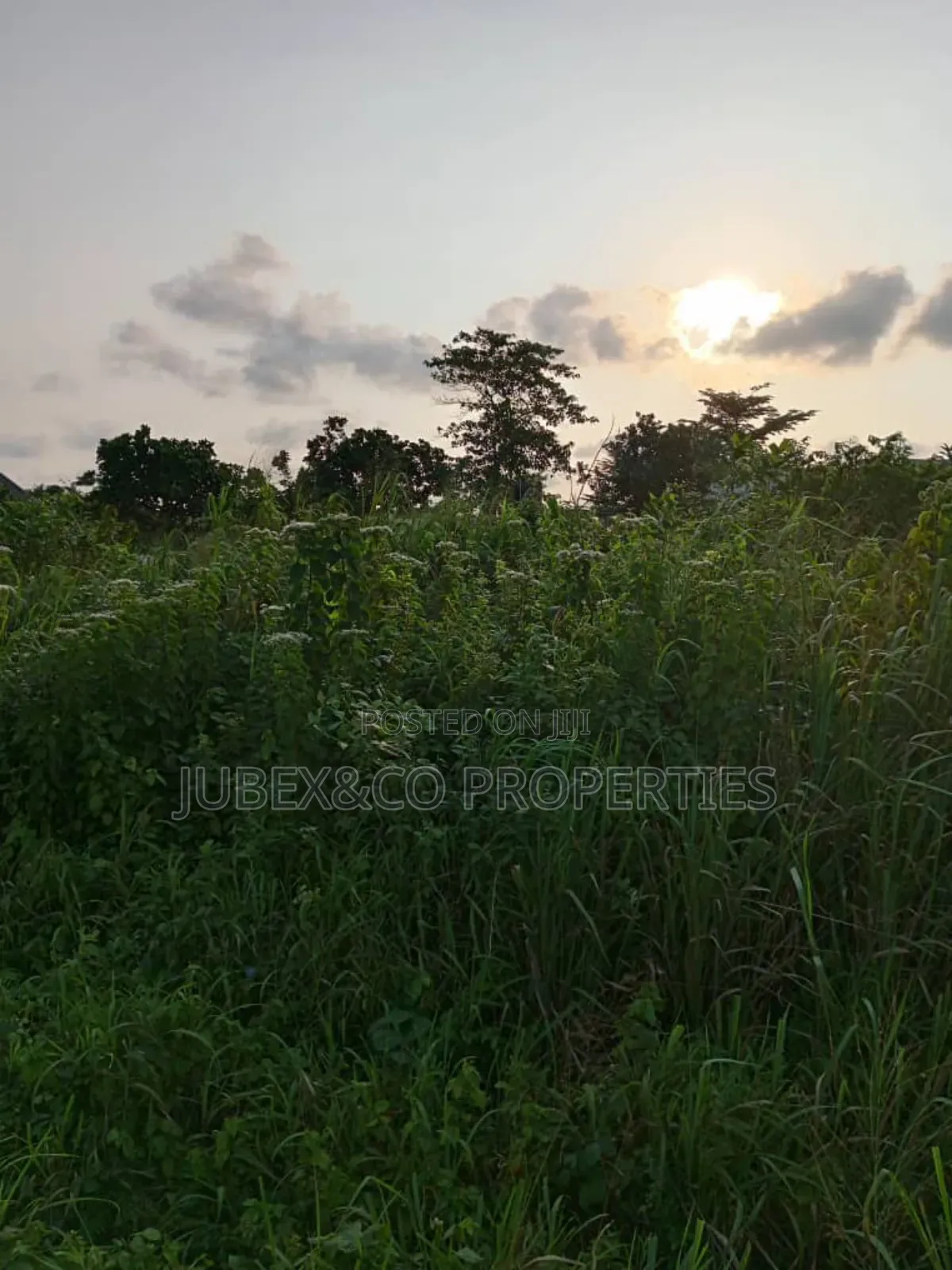 11 Acres for Farm Land at Ilaro in Ilaro