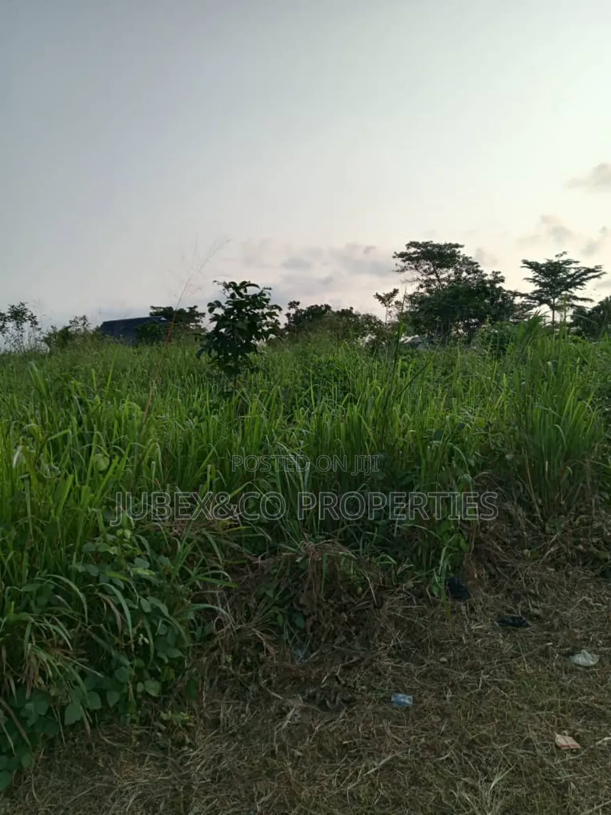 11 Acres for Farm Land at Ilaro in Ilaro