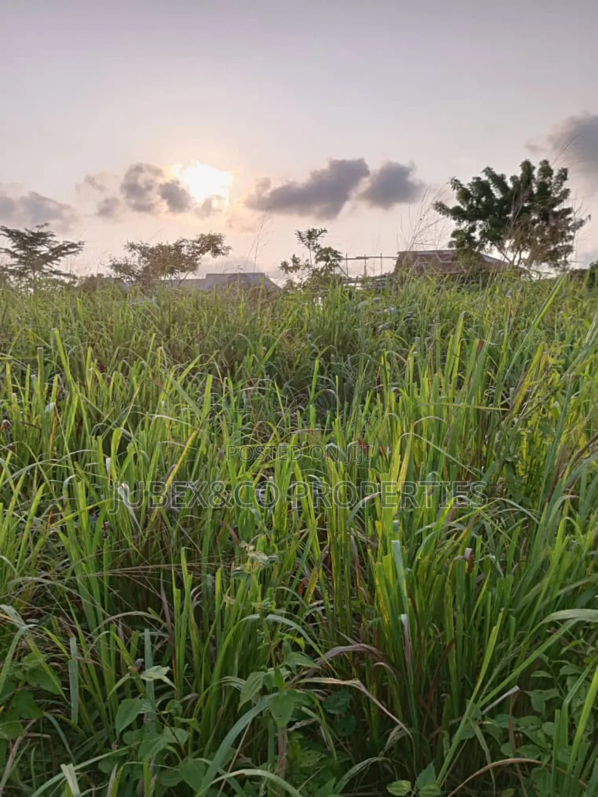 11 Acres for Farm Land at Ilaro in Ilaro