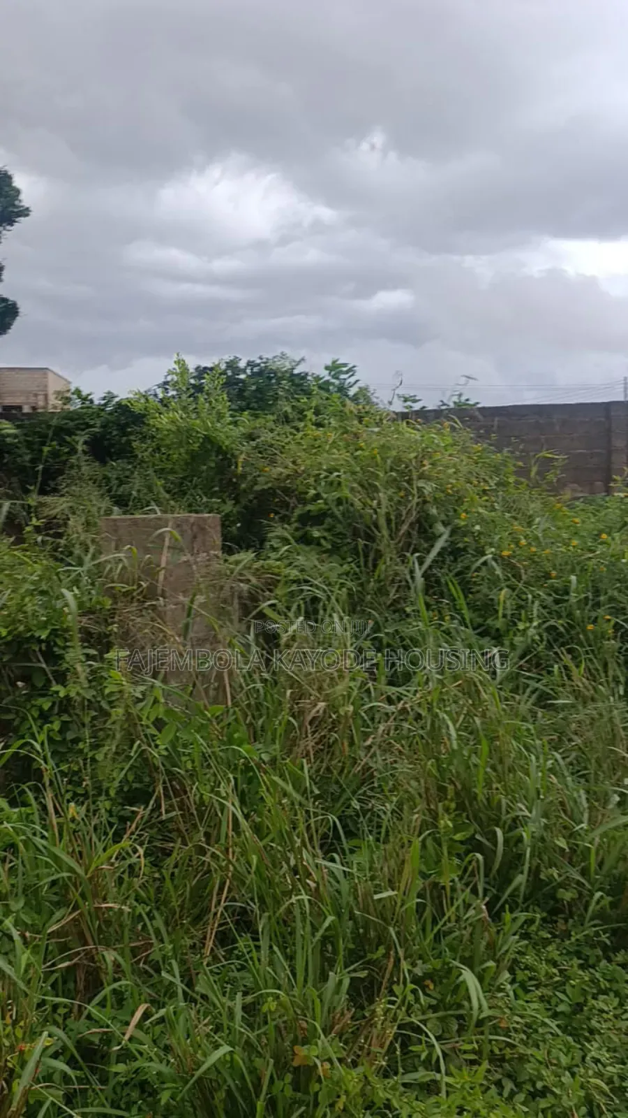 A Land for Sale at Adeoyo in Rind Road