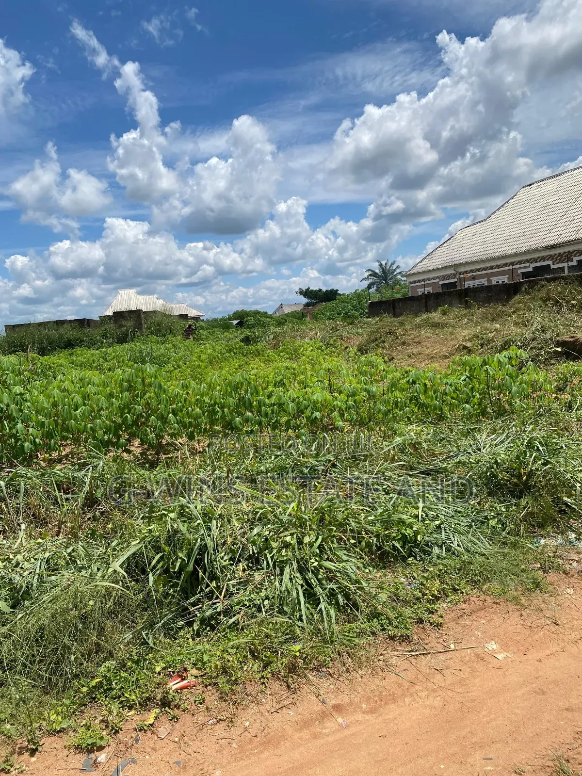 100ft by 100ft for Sale at Ogheghe Sapele Road in Benin City