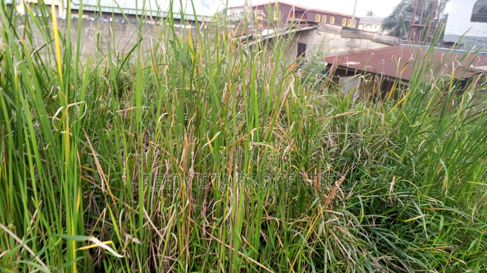 Fenced and Gated Land in Irawo in Kosofe / Kosofe