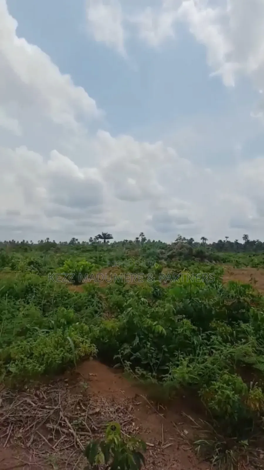 For Sale: 8 Plots With Cofo at Obirikwere Opm Rd, Ph in Port-Harcourt