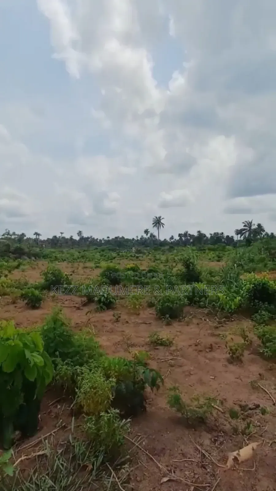 For Sale: 8 Plots With Cofo at Obirikwere Opm Rd, Ph in Port-Harcourt