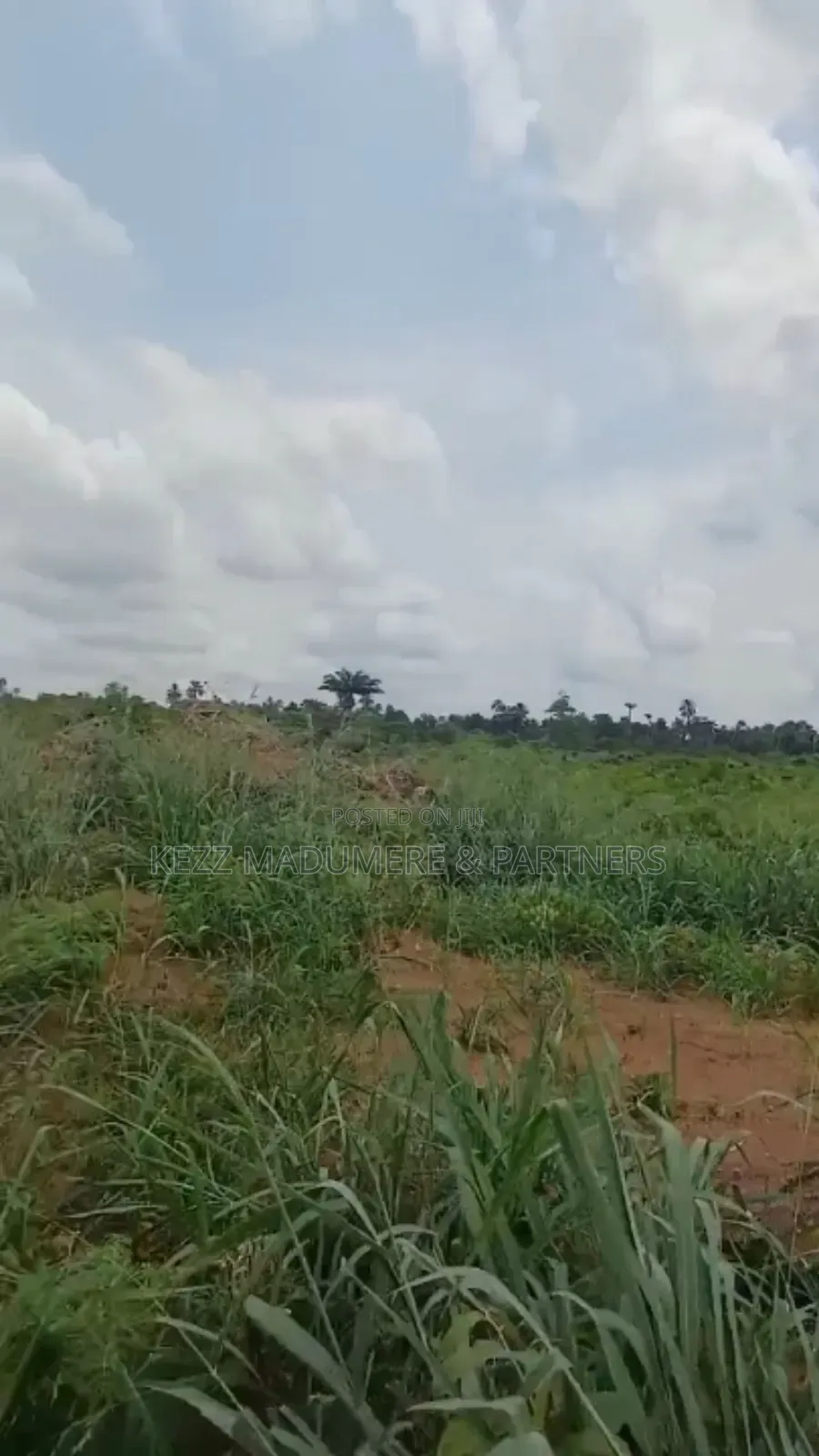 For Sale: 8 Plots With Cofo at Obirikwere Opm Rd, Ph in Port-Harcourt