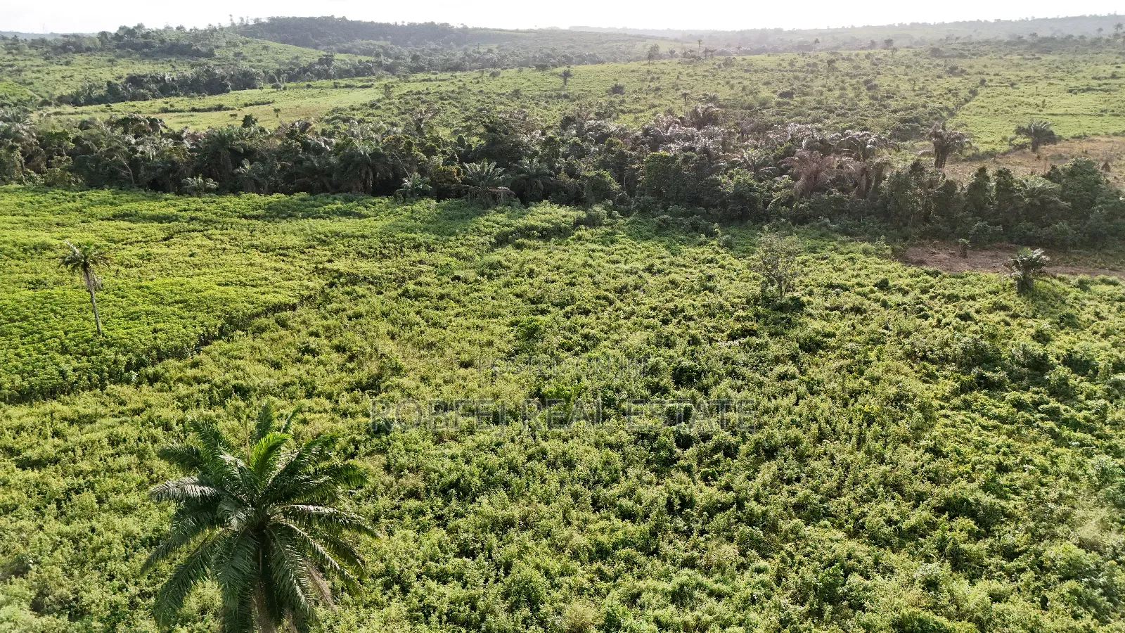 Hot 50 Acres Land in Epe