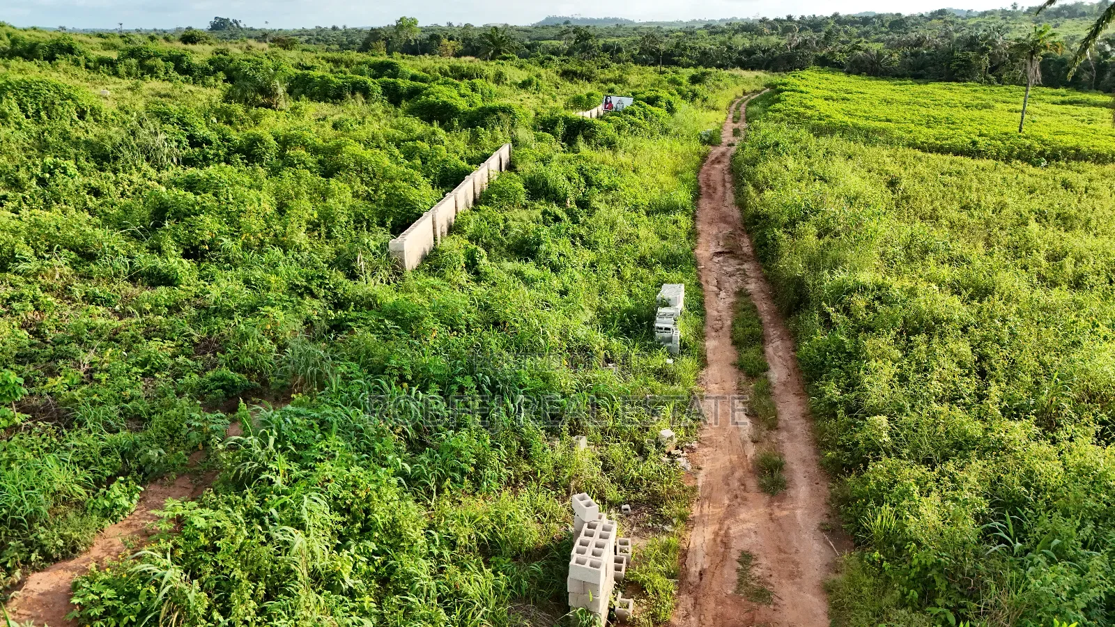 Hot 50 Acres Land in Epe