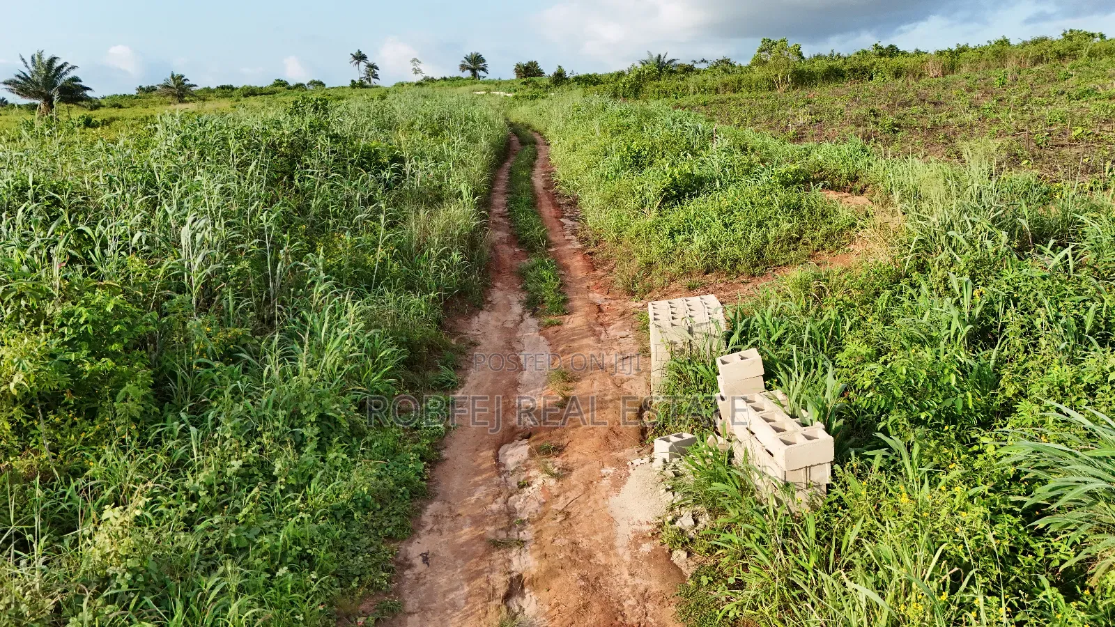 Hot 50 Acres Land in Epe