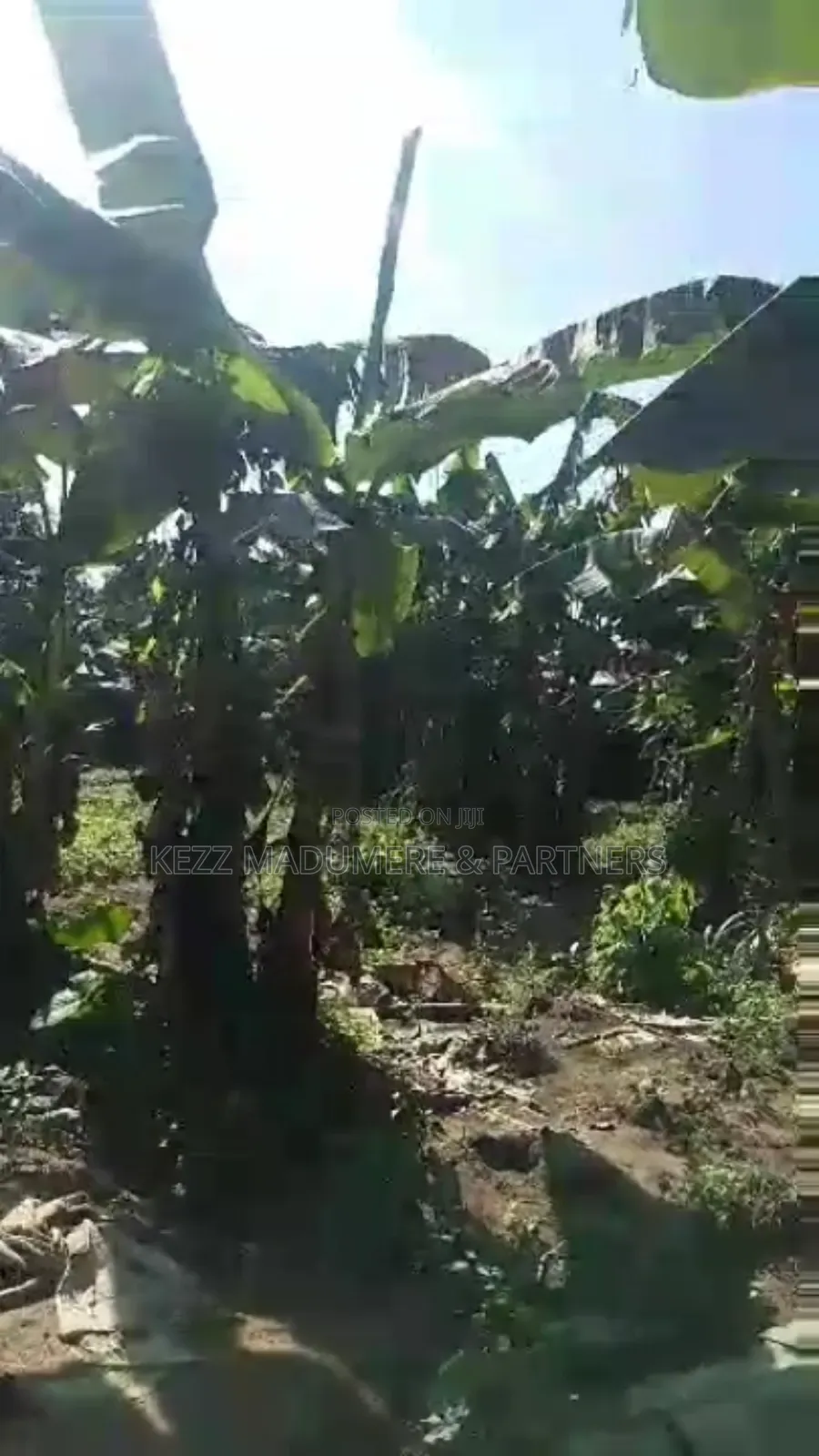 For Sale : Fenced With Gate 4 Plots at Rumuaghulu, Port Harcourt in Port-Harcourt