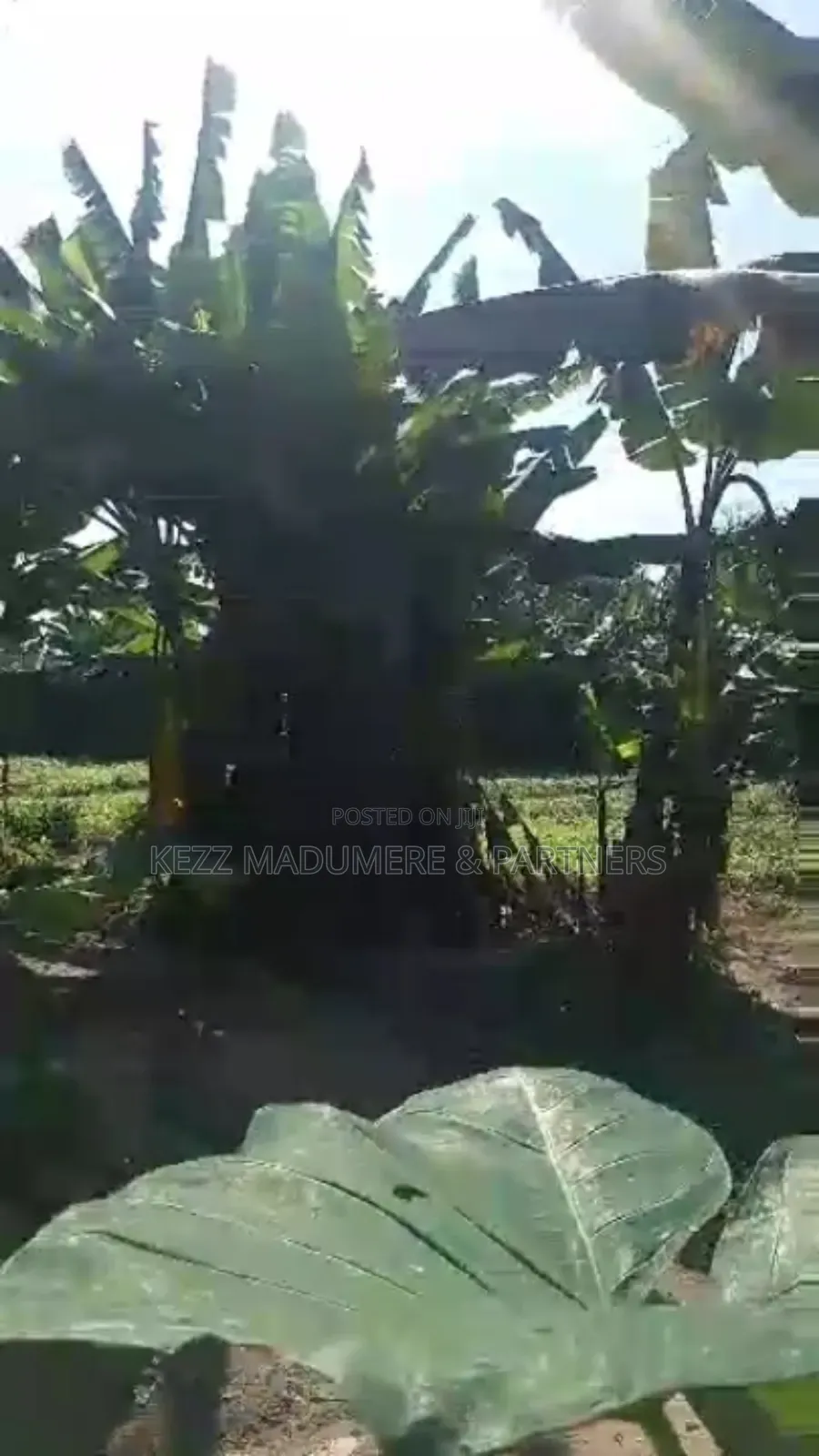 For Sale : Fenced With Gate 4 Plots at Rumuaghulu, Port Harcourt in Port-Harcourt