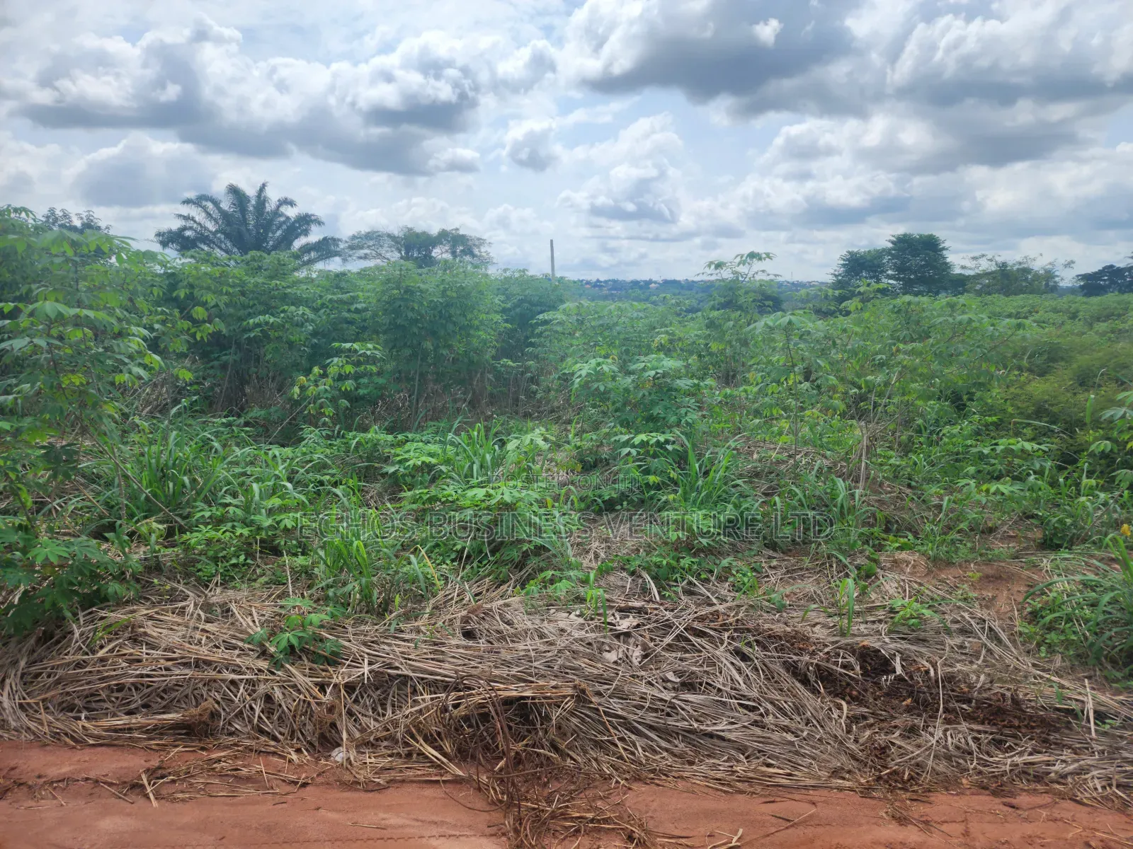200ft by 200ft for Sale at Back of Ubth in Benin City
