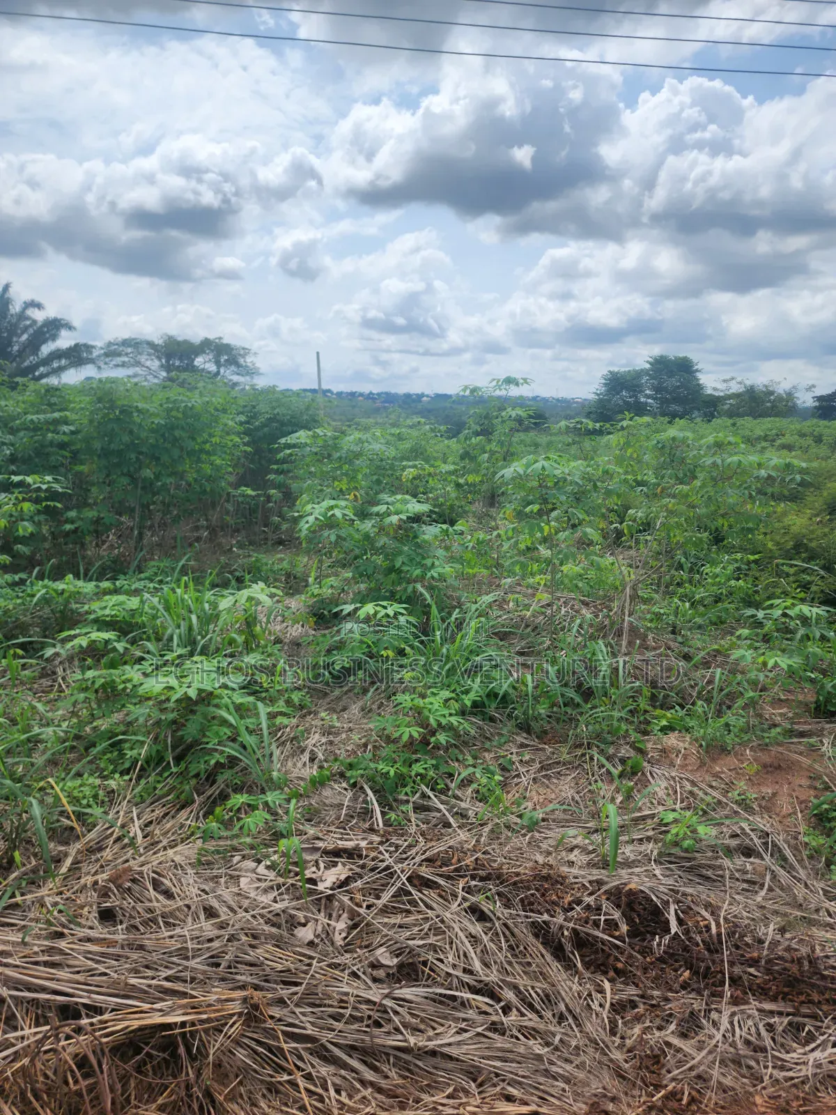 200ft by 200ft for Sale at Back of Ubth in Benin City