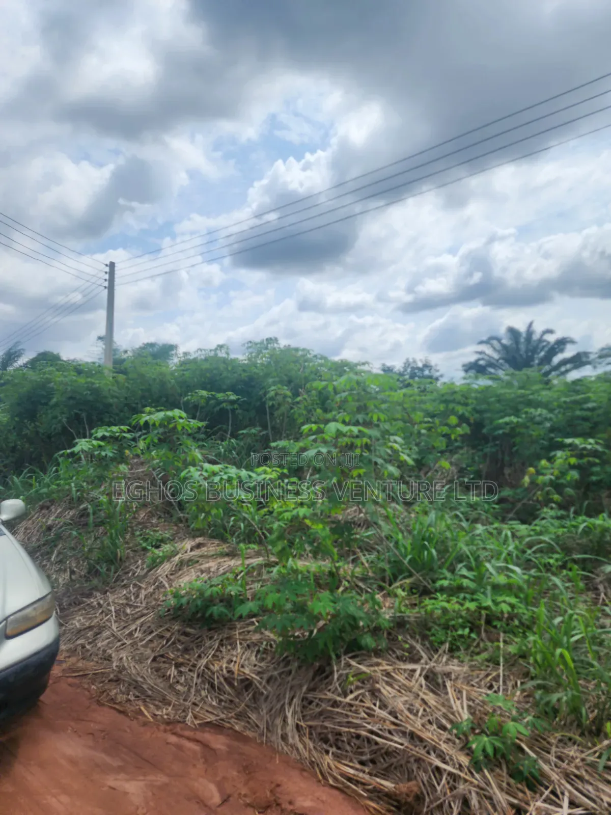 200ft by 200ft for Sale at Back of Ubth in Benin City